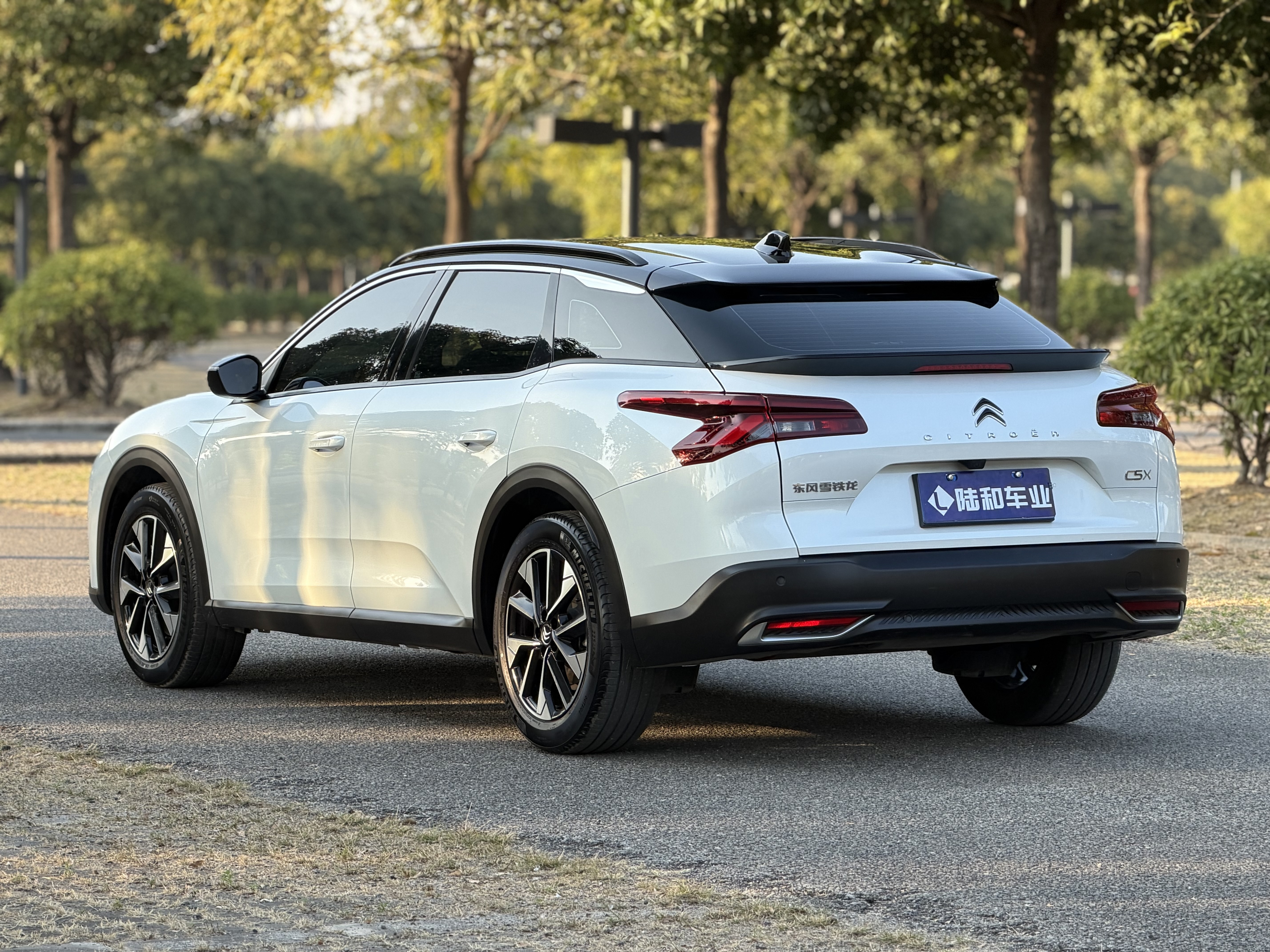 Citroen C5 X 2022 #8 Citroen C5 X 2022 صورة سيارة #8