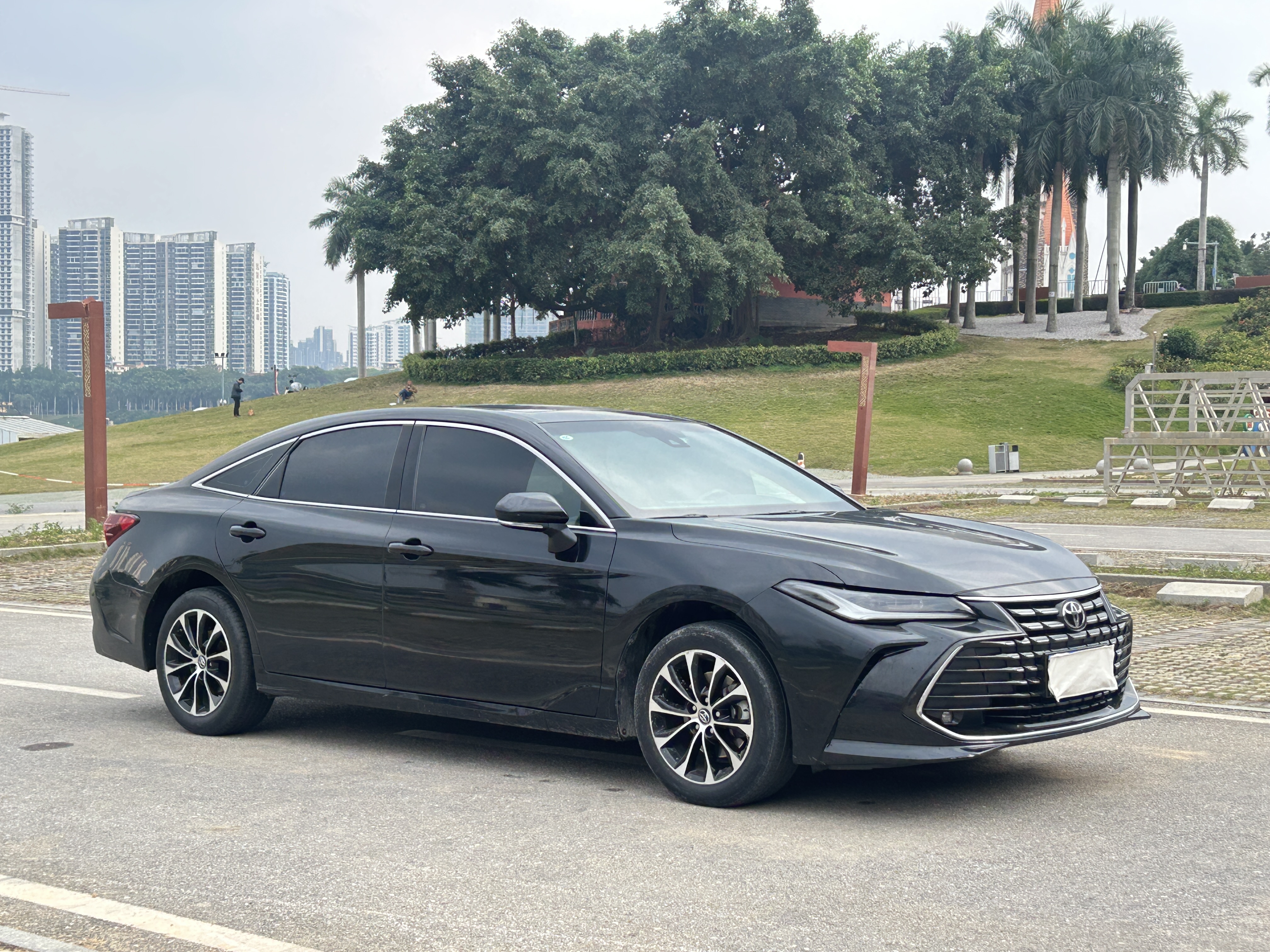 Toyota Avalon 2023 car image #8