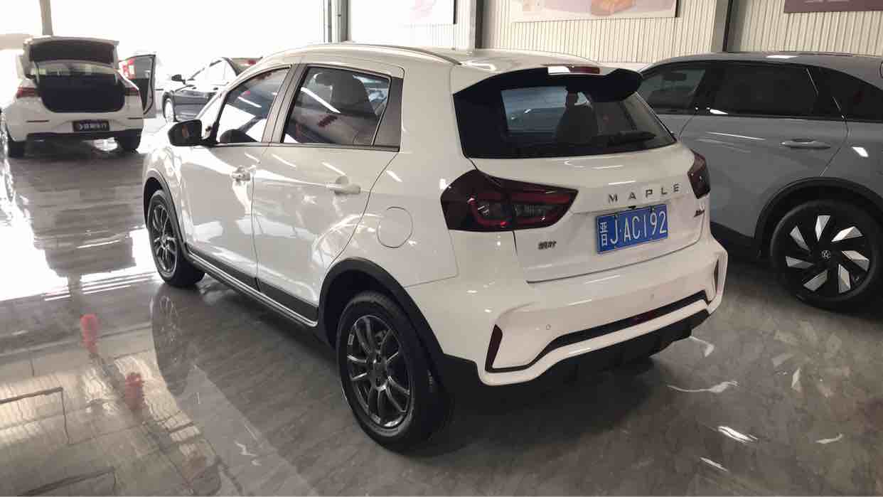 睿蓝汽车 睿蓝汽车X3 PRO 2023 汽车图片 #8