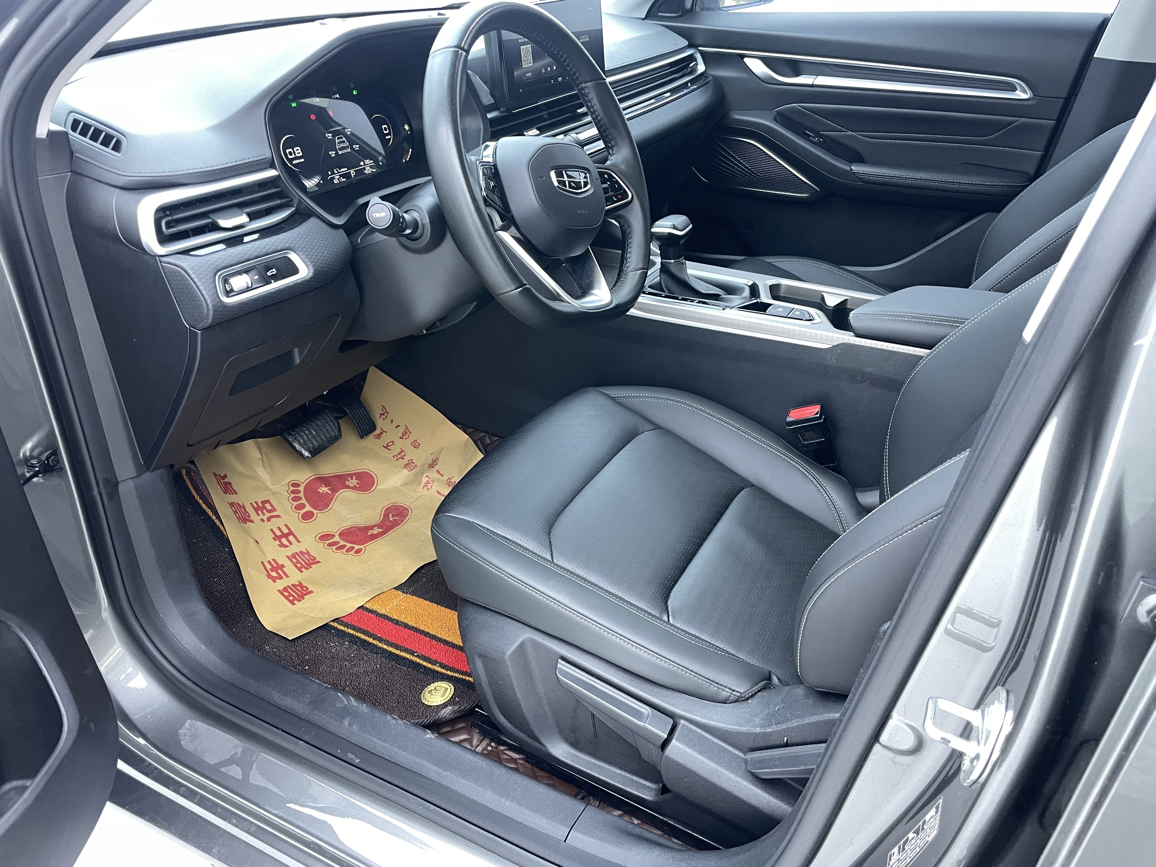 Emgrand 2022 car image #8