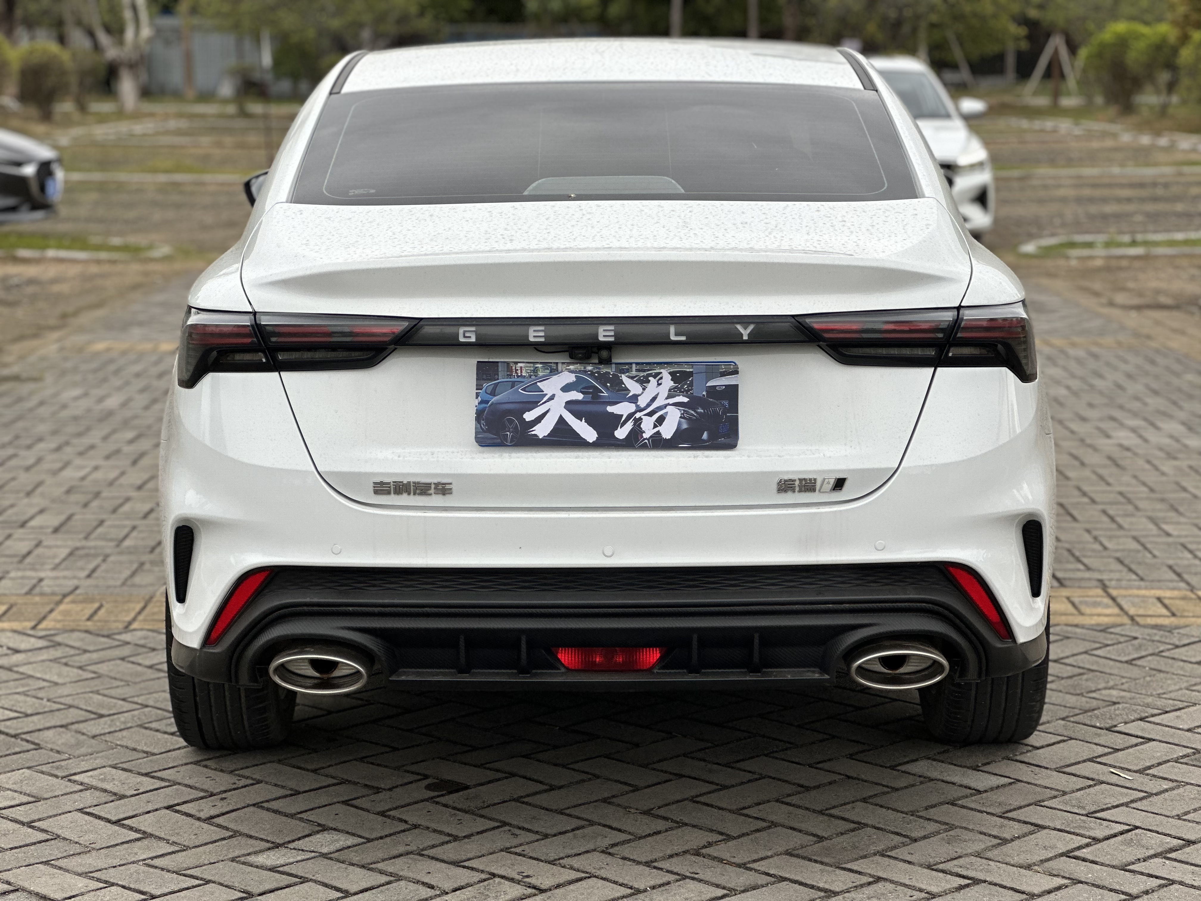 GEELY Binray 2023 #8 GEELY Binray 2023 immagine di auto #8