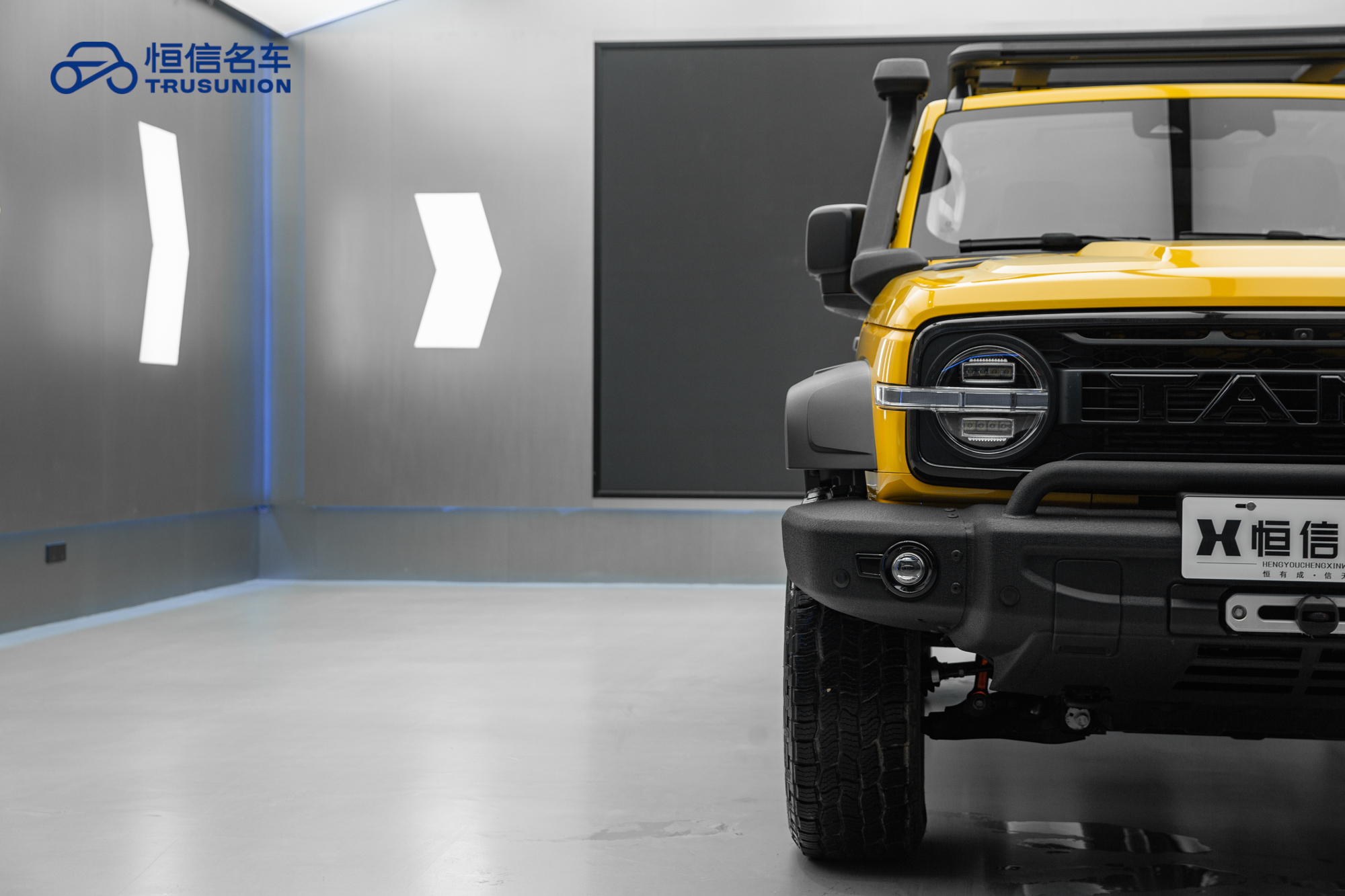 Tank 300 2023 car image #8