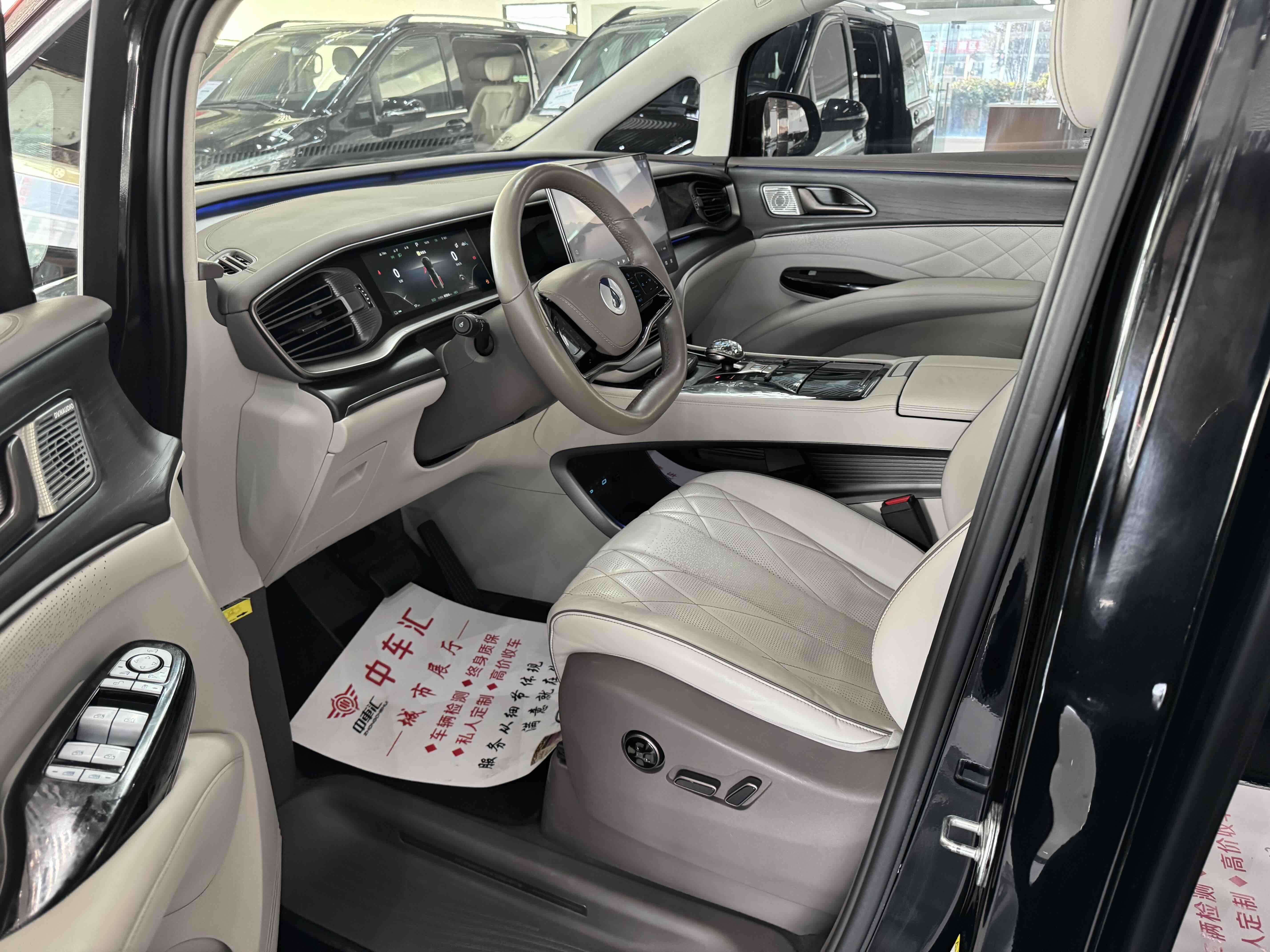 Denza D9 2023 imagem de carro #8