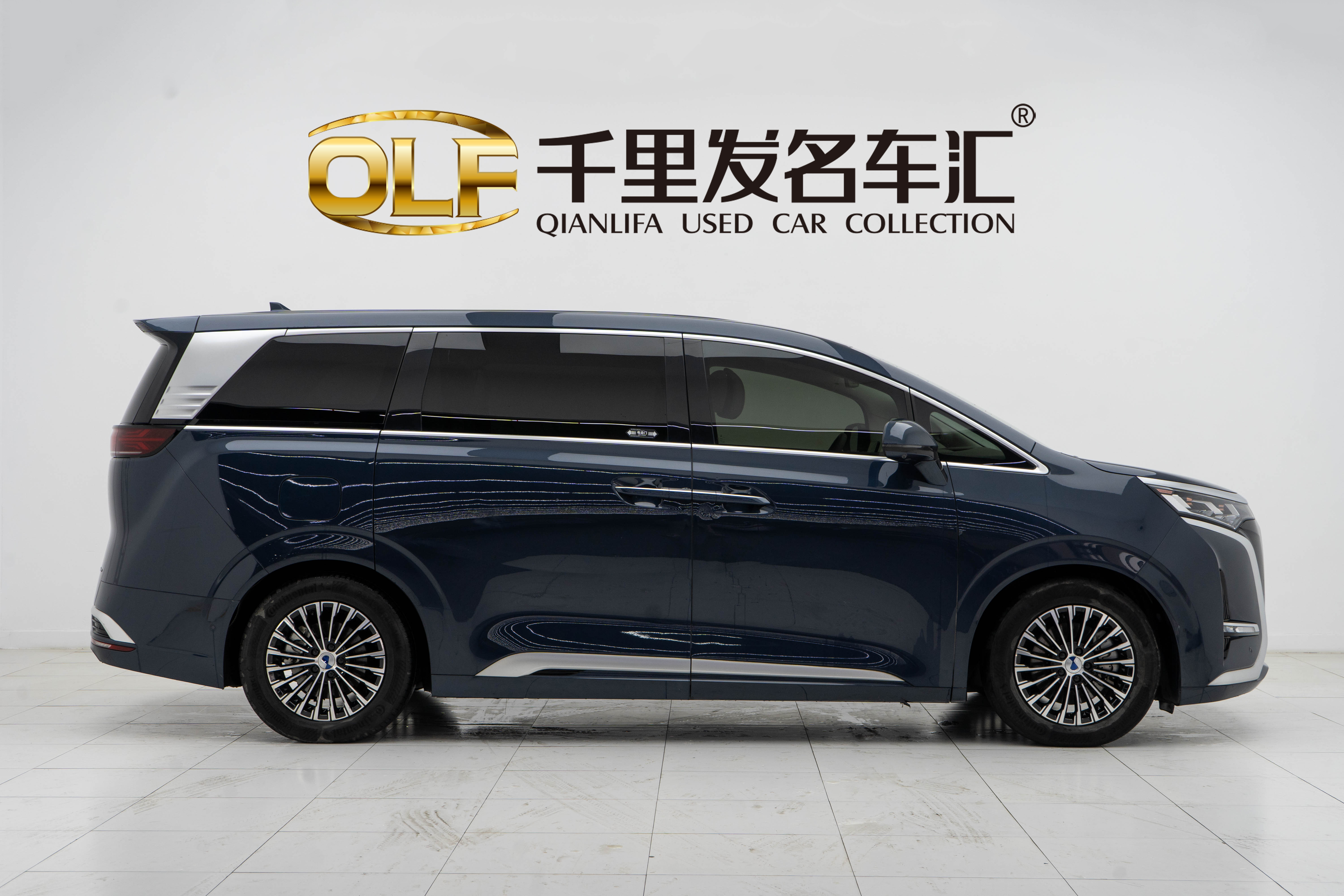 Denza D9 2023 immagine di auto #8