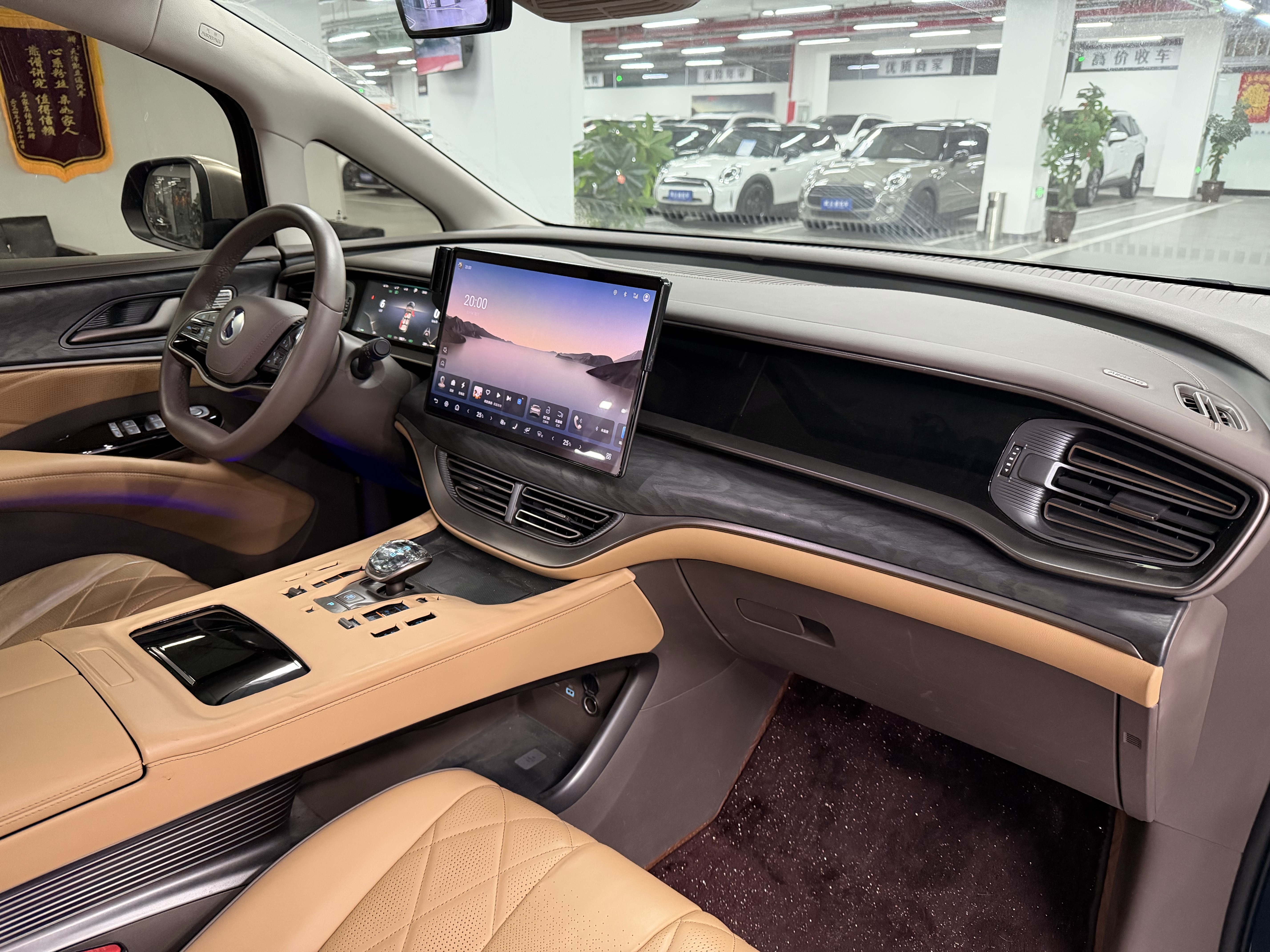 Denza D9 2023 imagem de carro #8