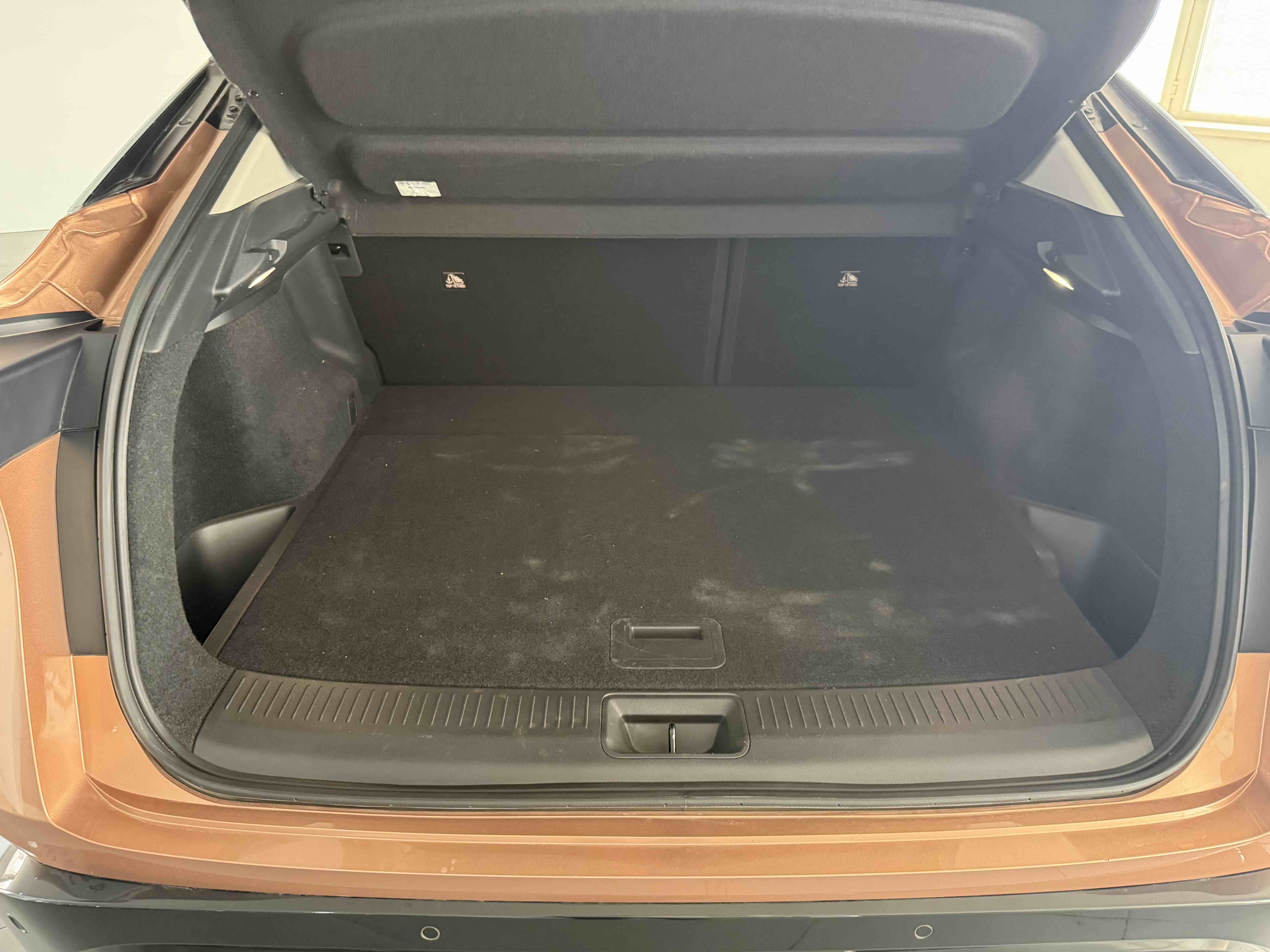 日产 ARIYA艾睿雅 2022 汽车图片 #8