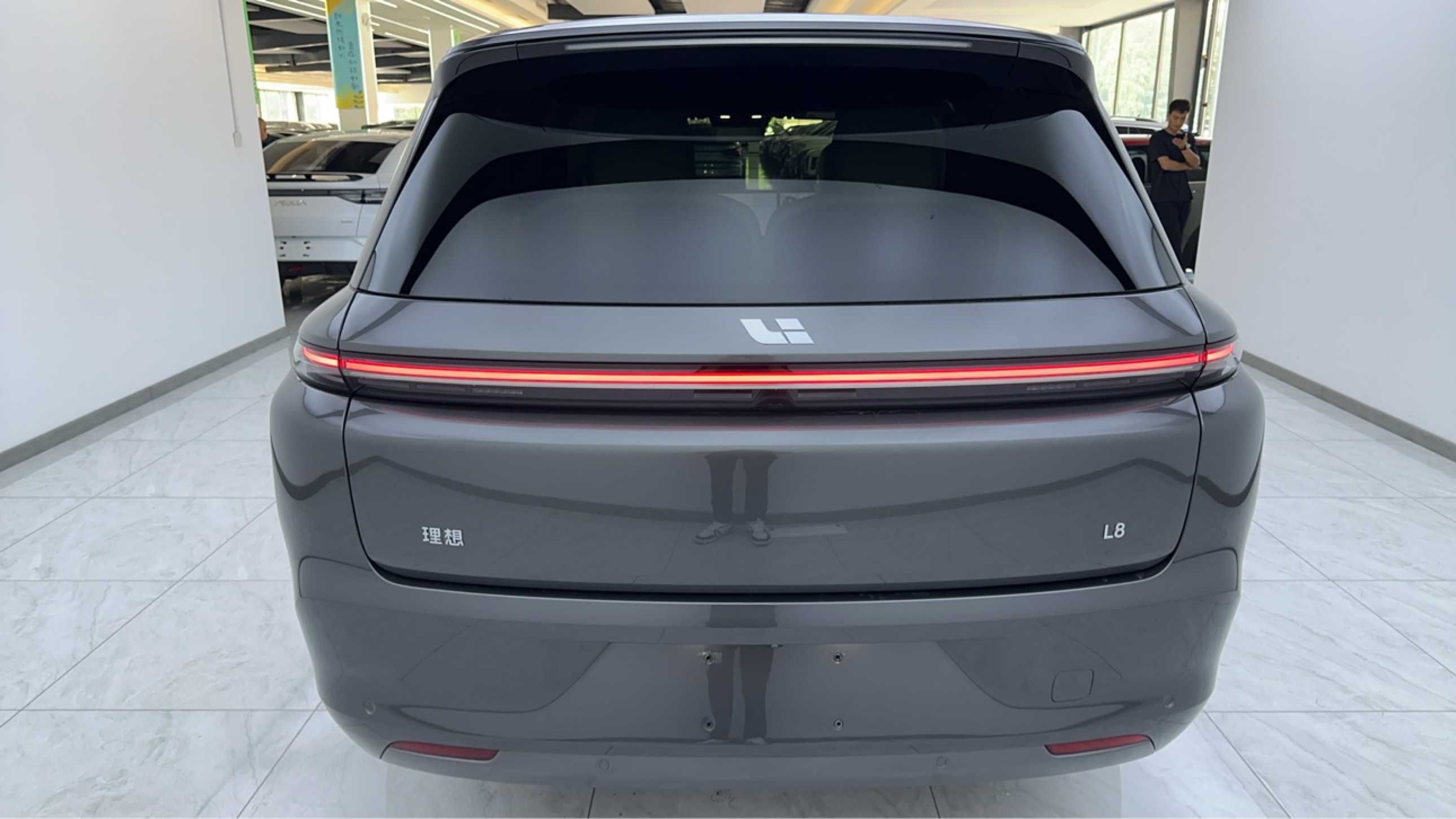 Li L8 2023 изображение автомобиля #8