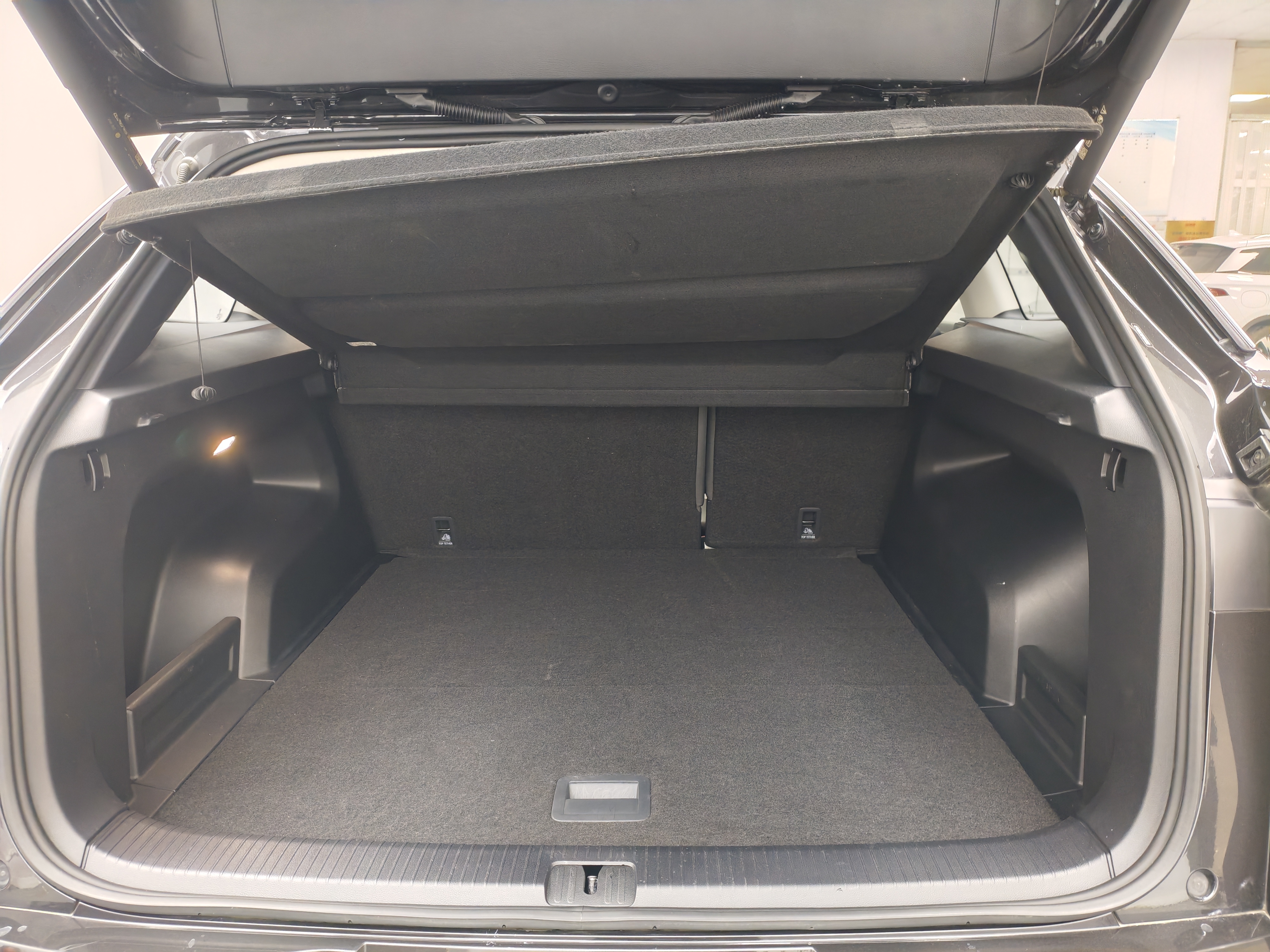 Volkswagen Tavendor 2023 car image #8