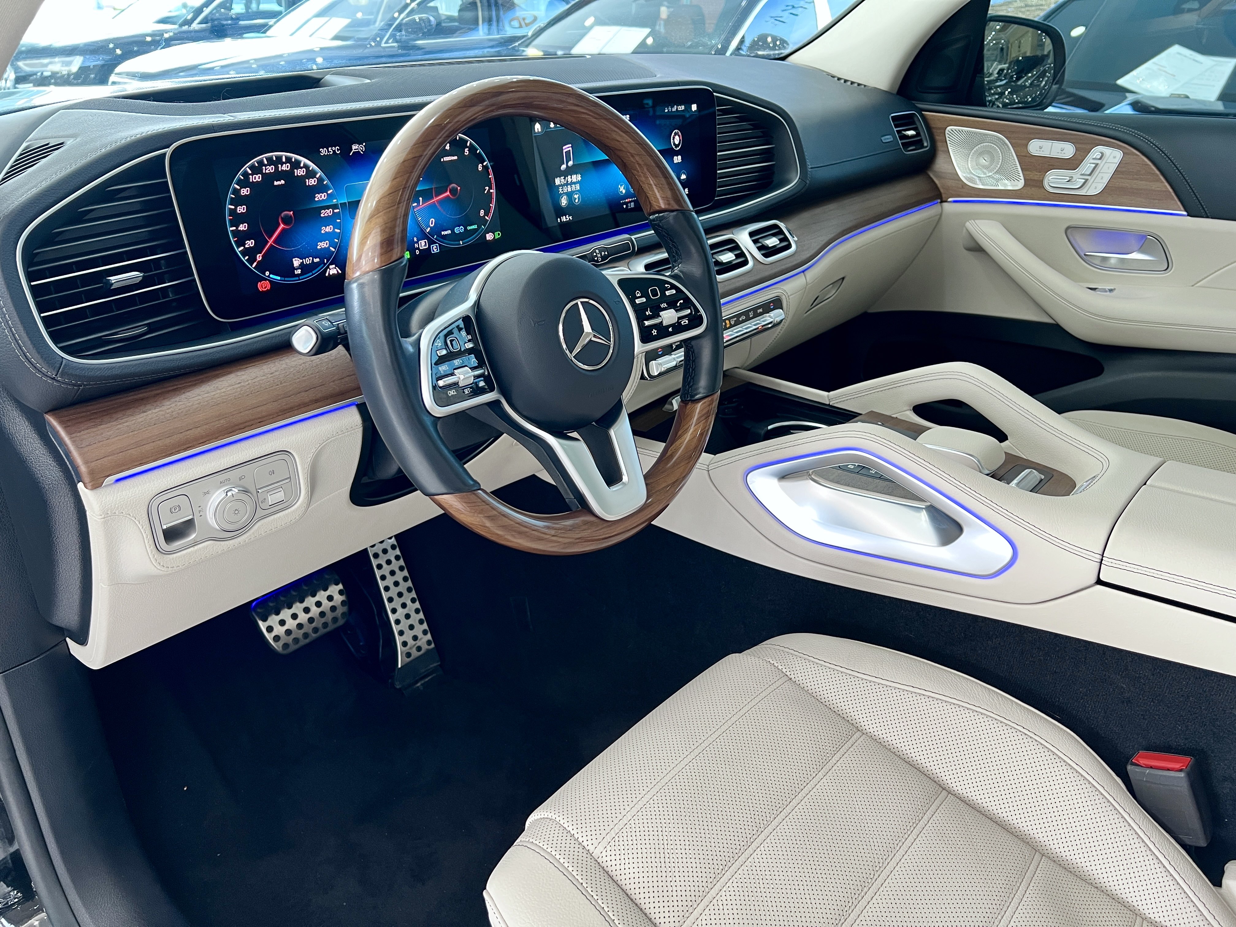 Mercedes-Benz GLS Class 2023 car image #8