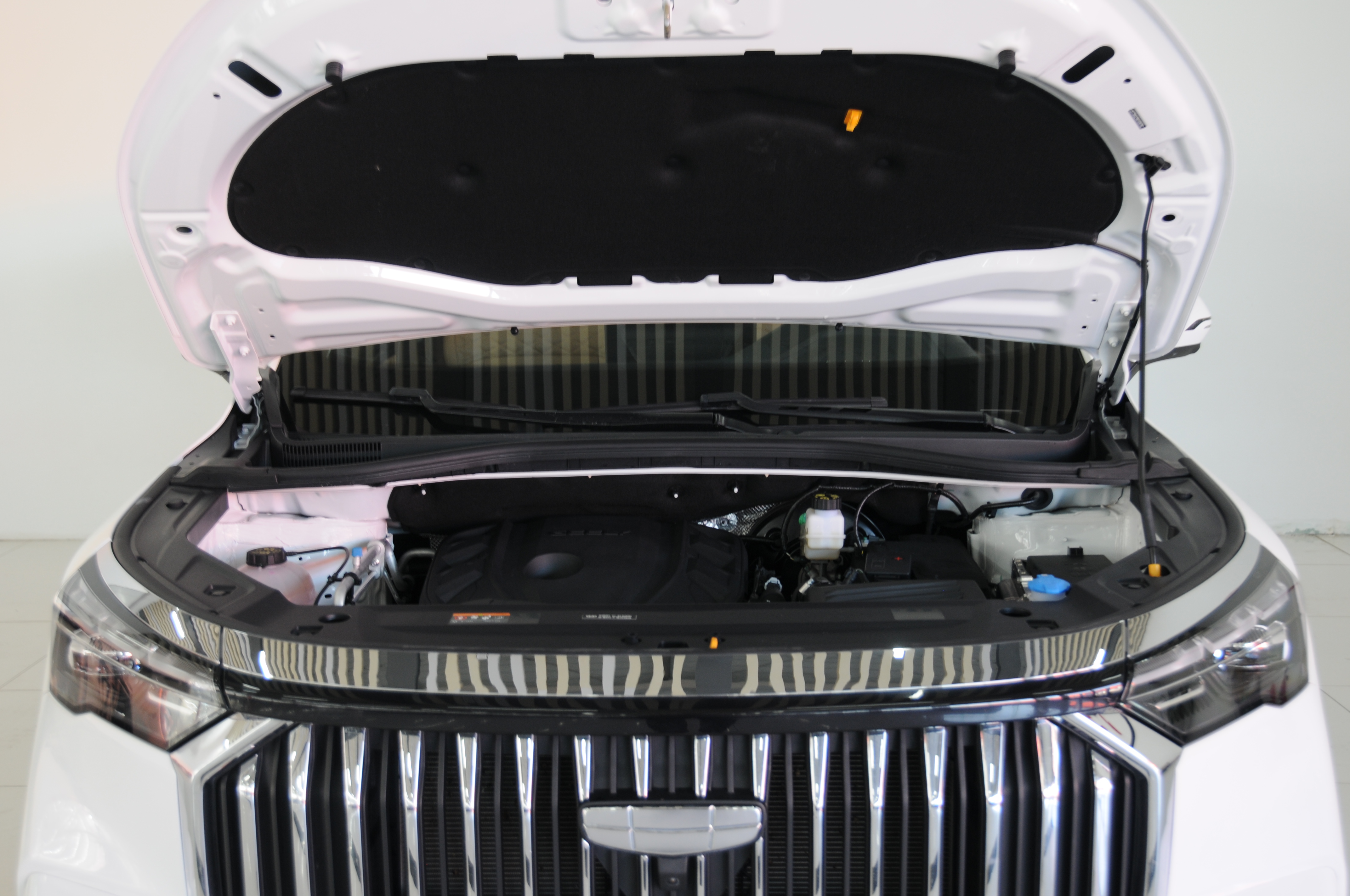 GEELY Okavango L 2023 car image #8