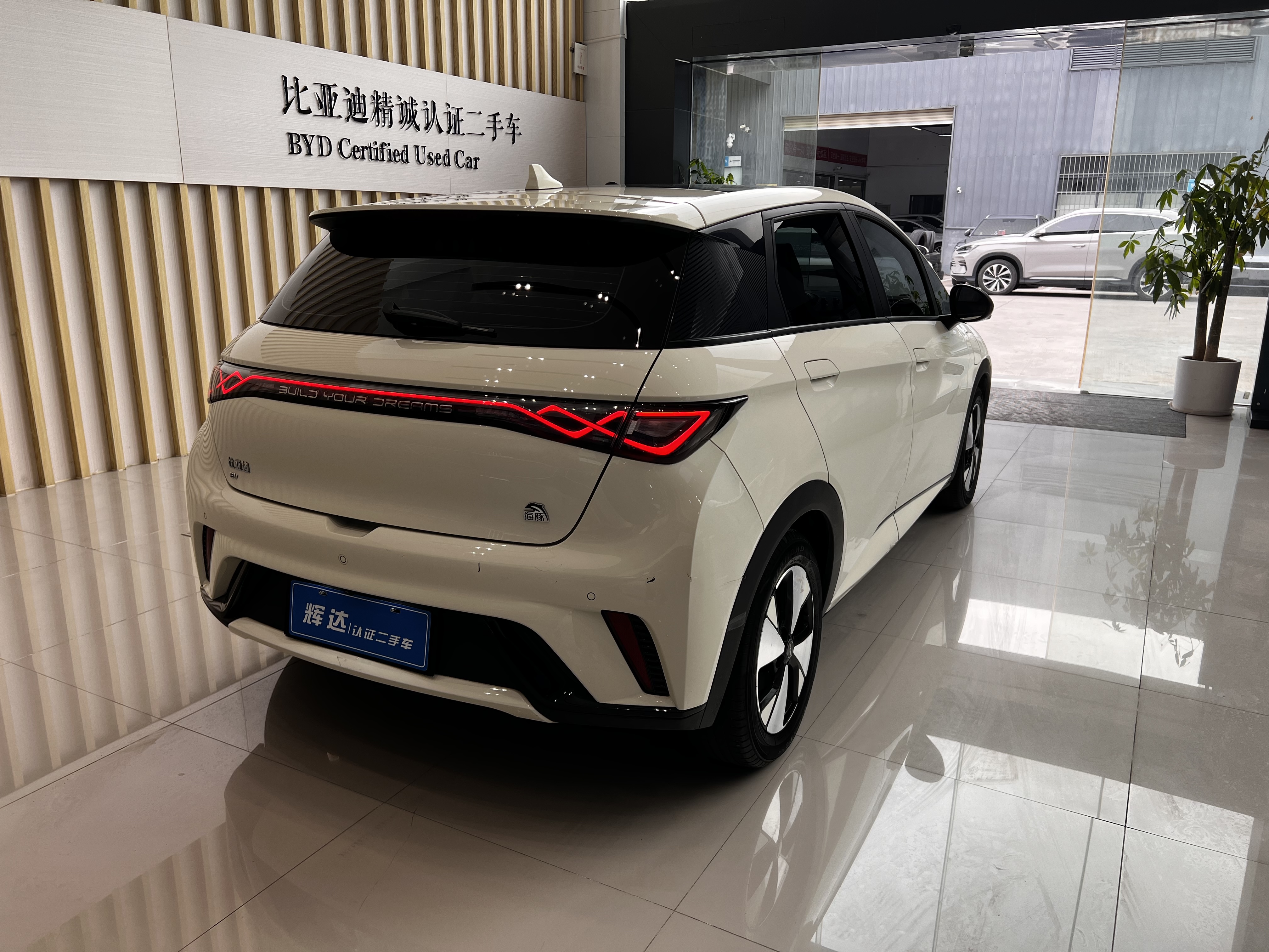 BYD Dolphin 2023 car image #8