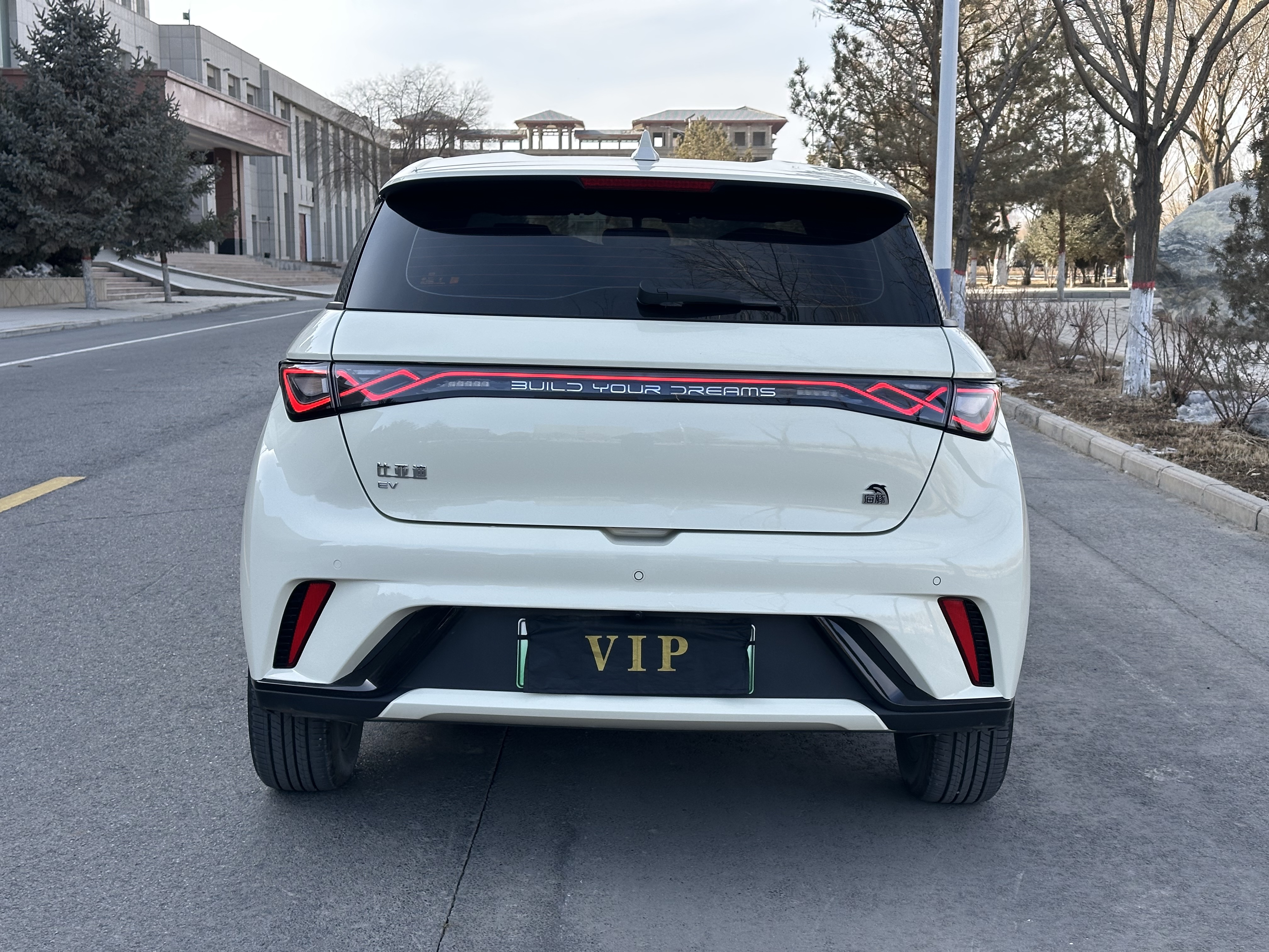 BYD Dolphin 2024 car image #8