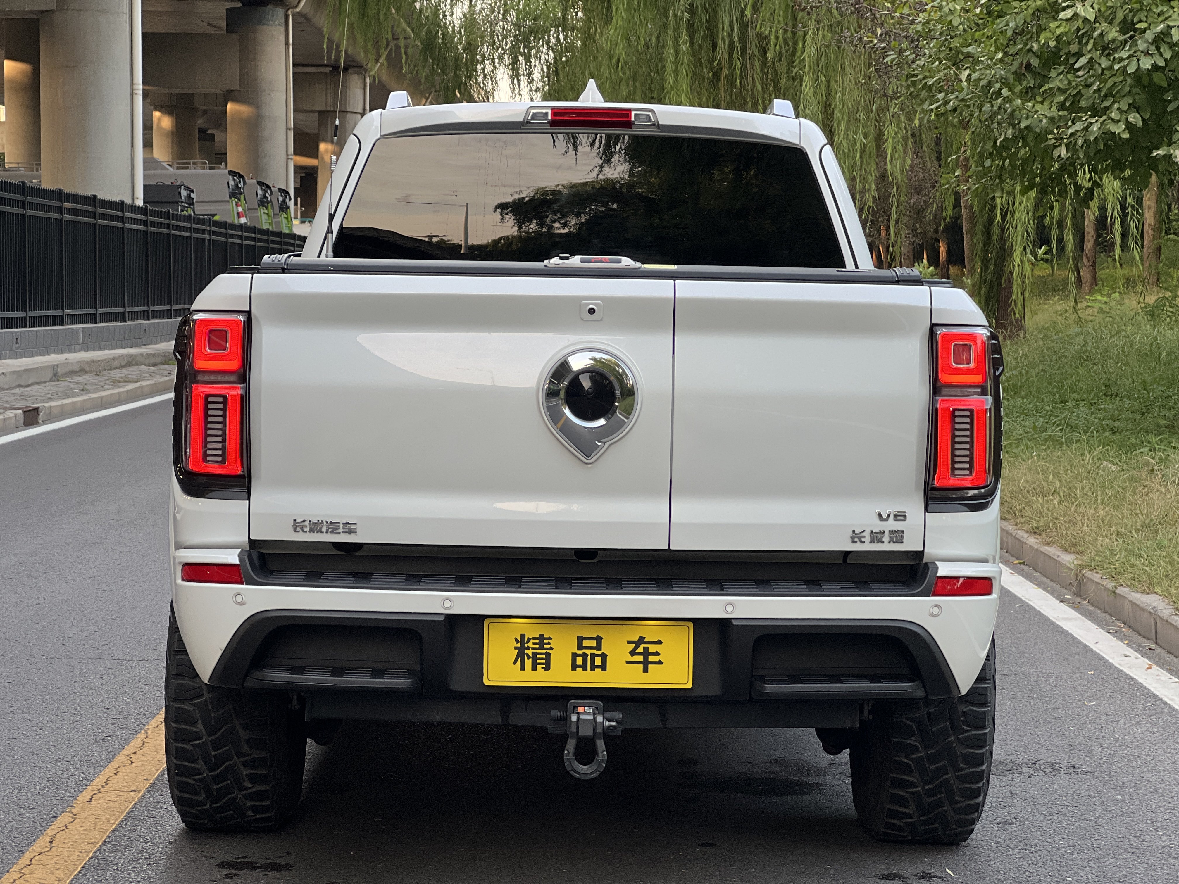 Great Wall Shanhai Pao 2023 car image #8
