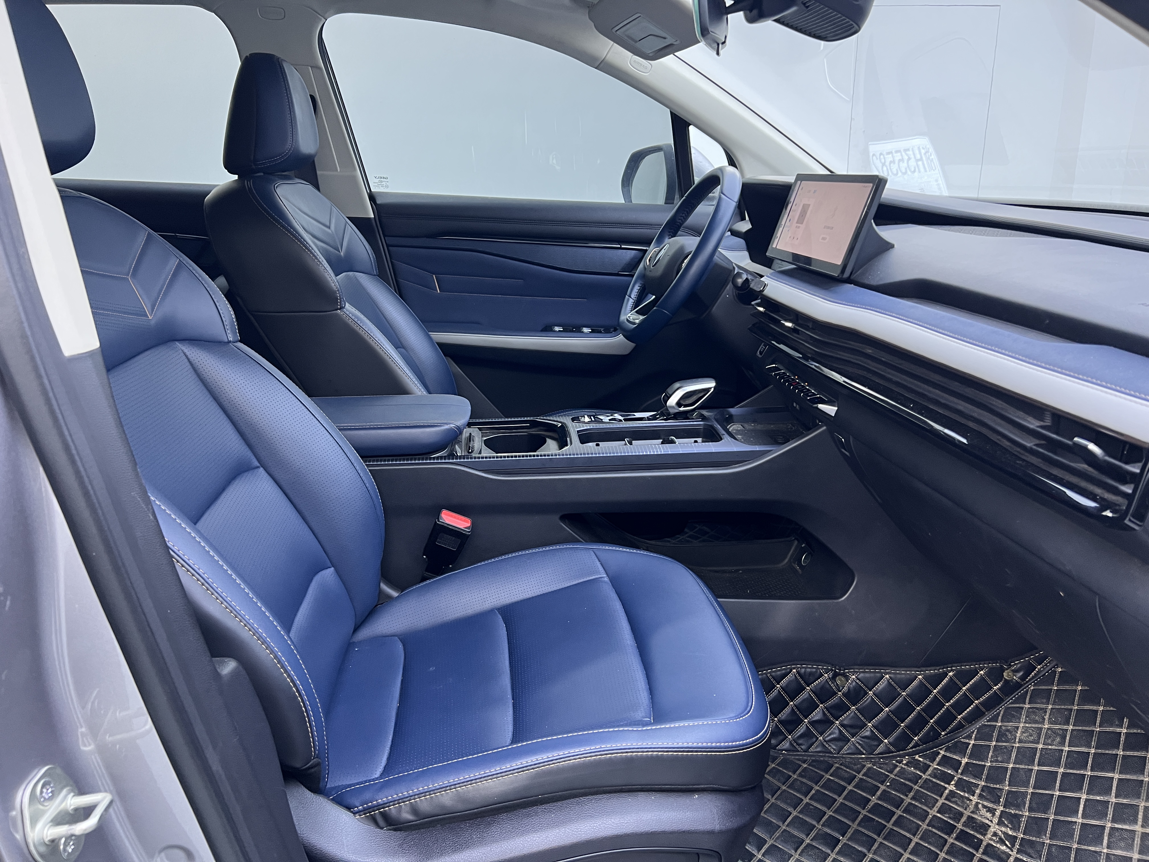 睿蓝汽车 睿蓝9 2023 汽车图片 #8