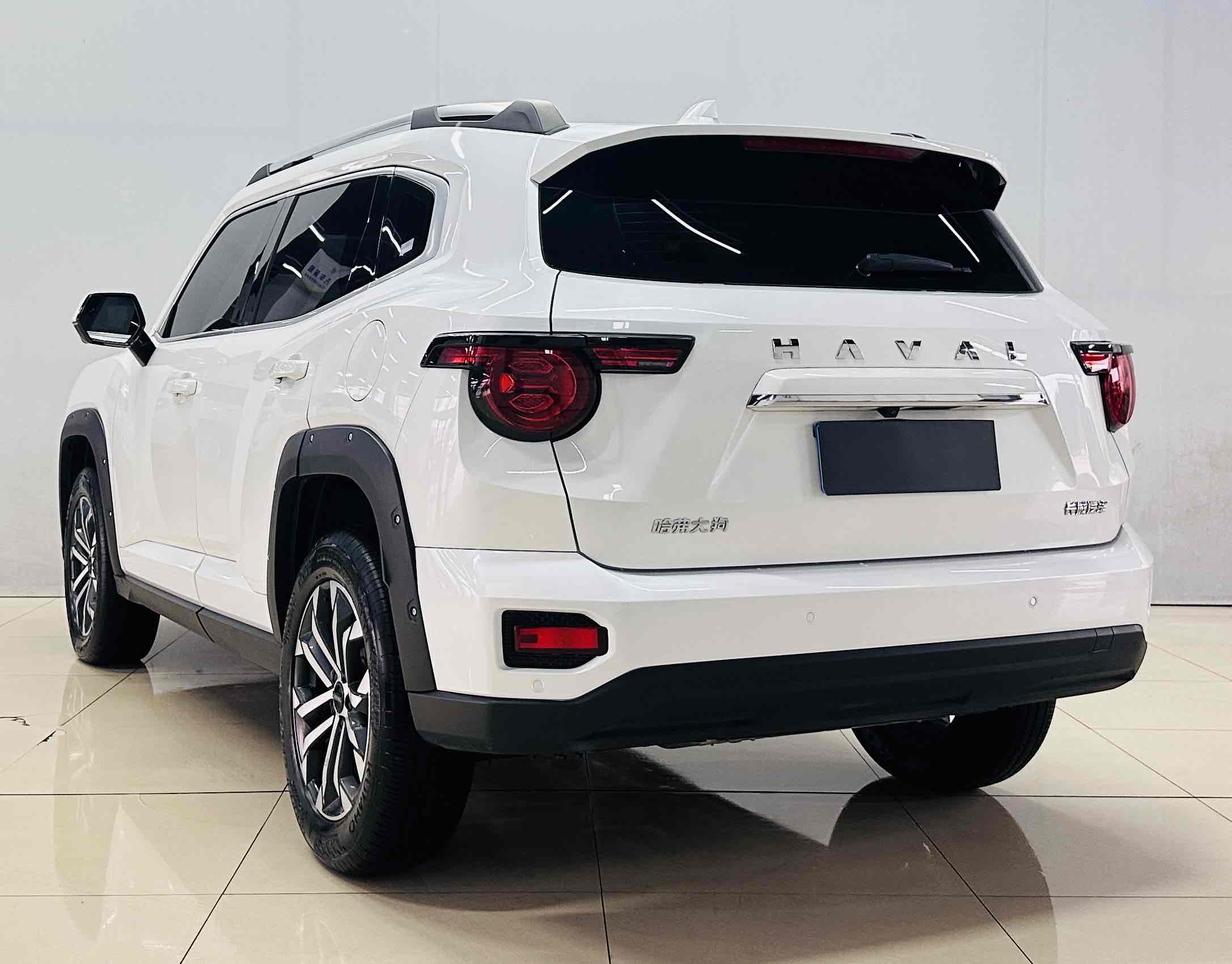 Haval Dargo 2 2023 car image #8
