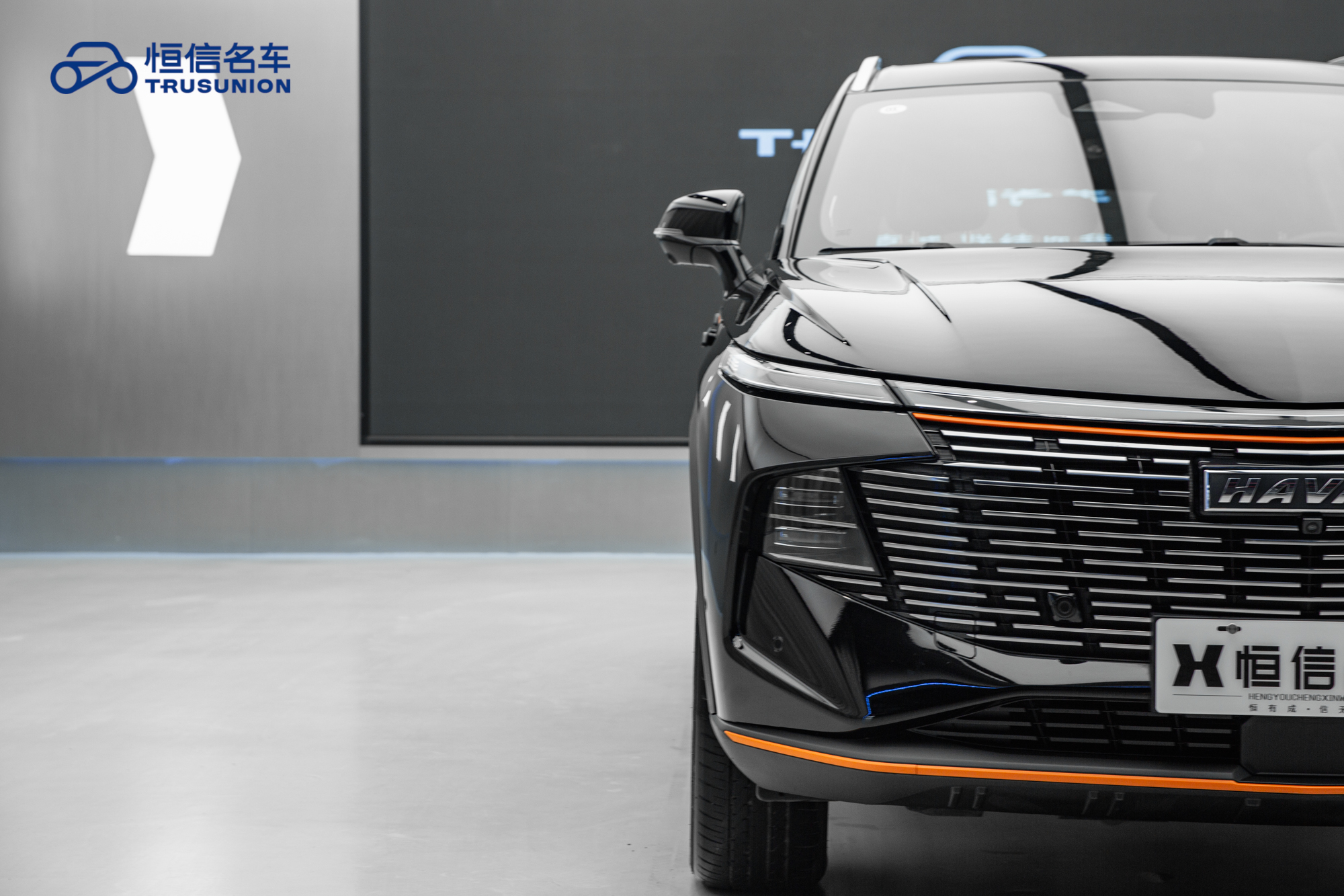 Haval XY 2023 car image #8