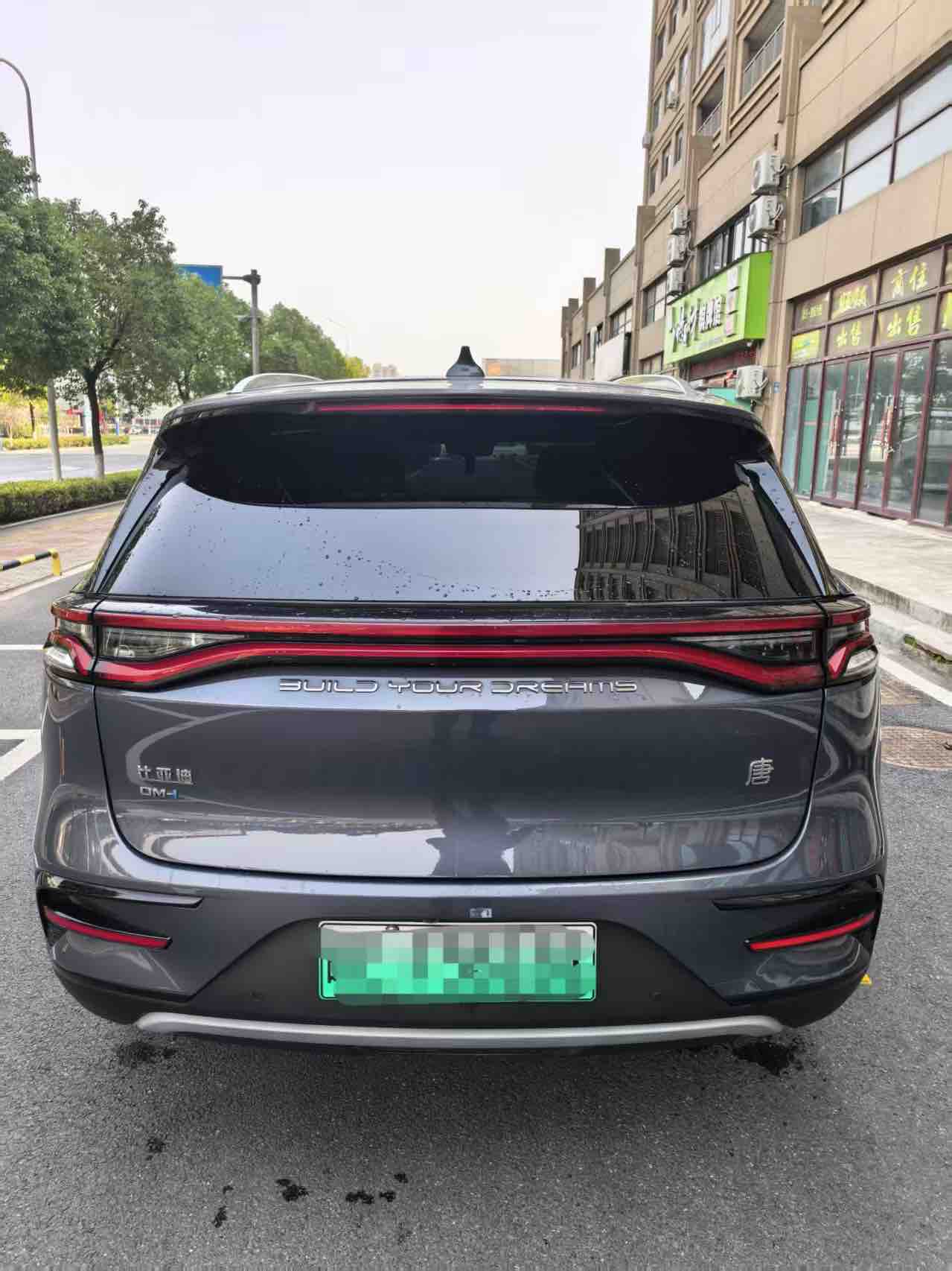BYD Tang New Energy 2022 car image #8