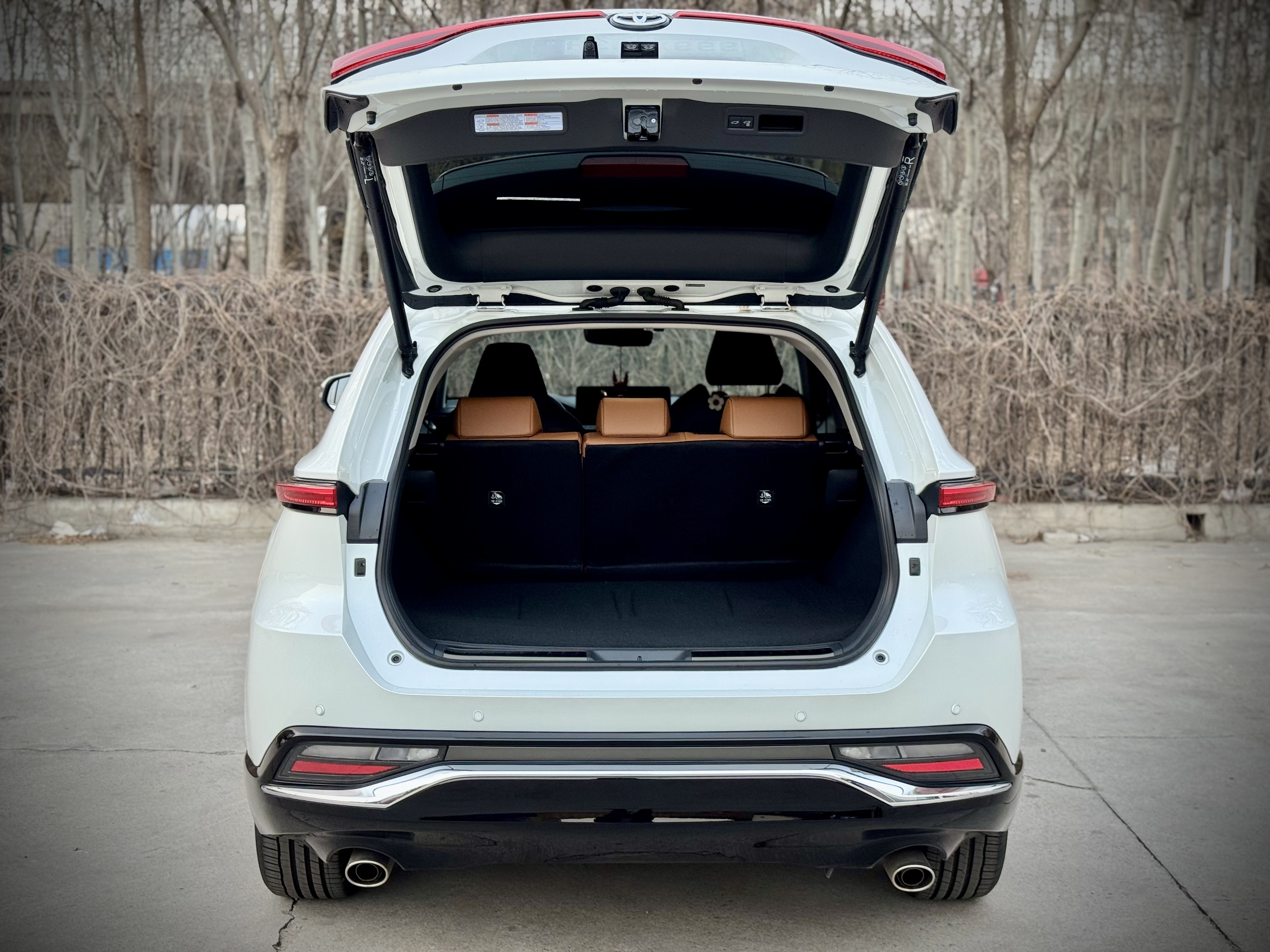 Toyota Venza 2023 car image #8