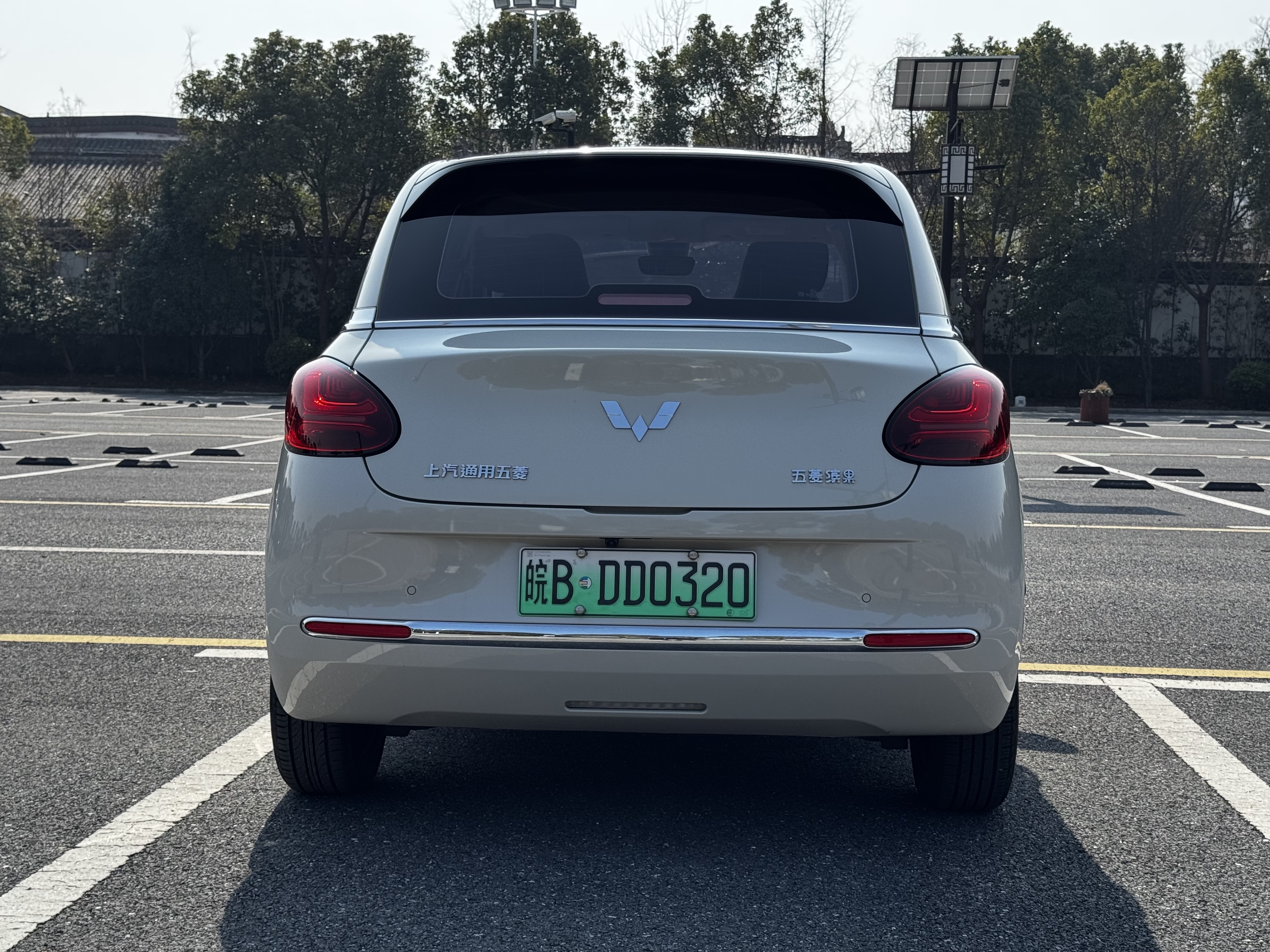 五菱汽车 五菱缤果 2024 #8 五菱汽车 五菱缤果 2024 汽车图片 #8