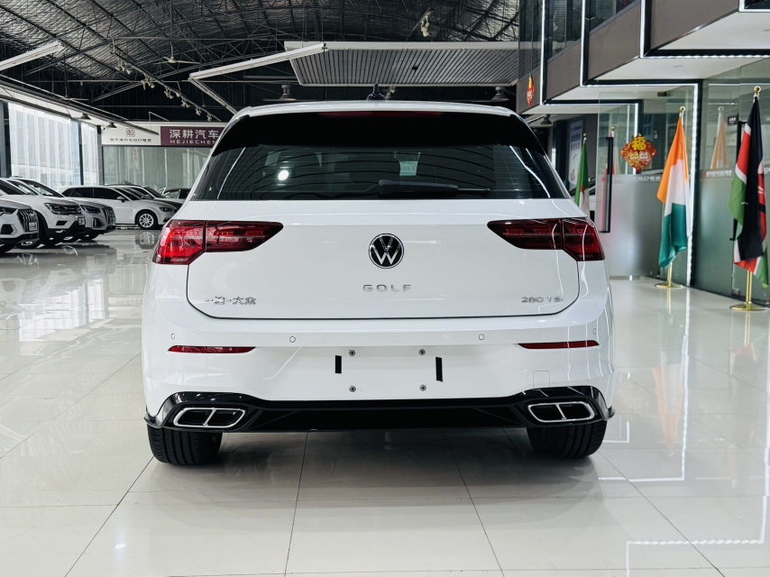 Volkswagen Golf 2023 car image #8
