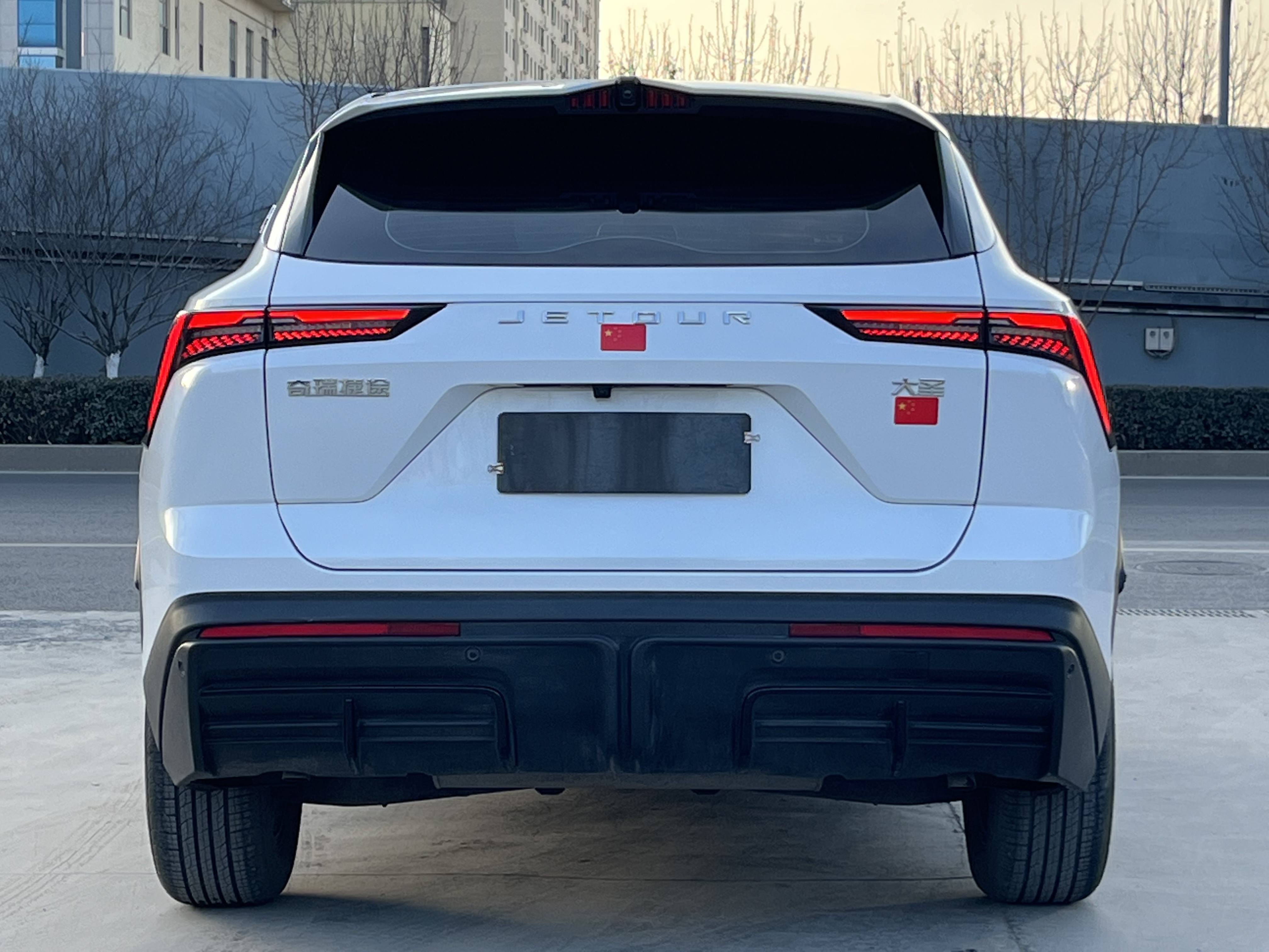 Jetour Shanhai Dashing 2024 car image #8