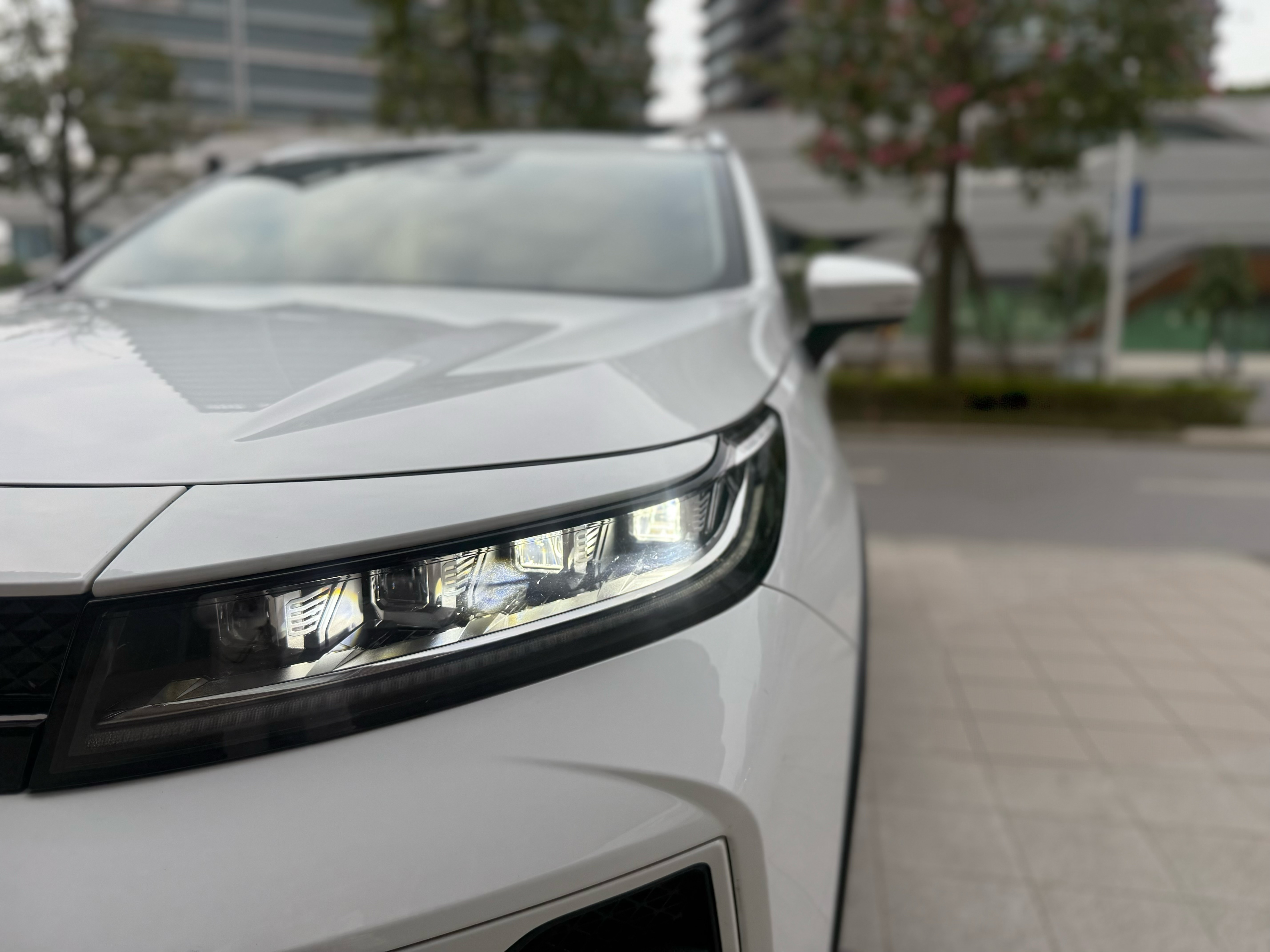 Exceed Chasing Wind 2024 #8 Exceed Chasing Wind 2024 car image #8