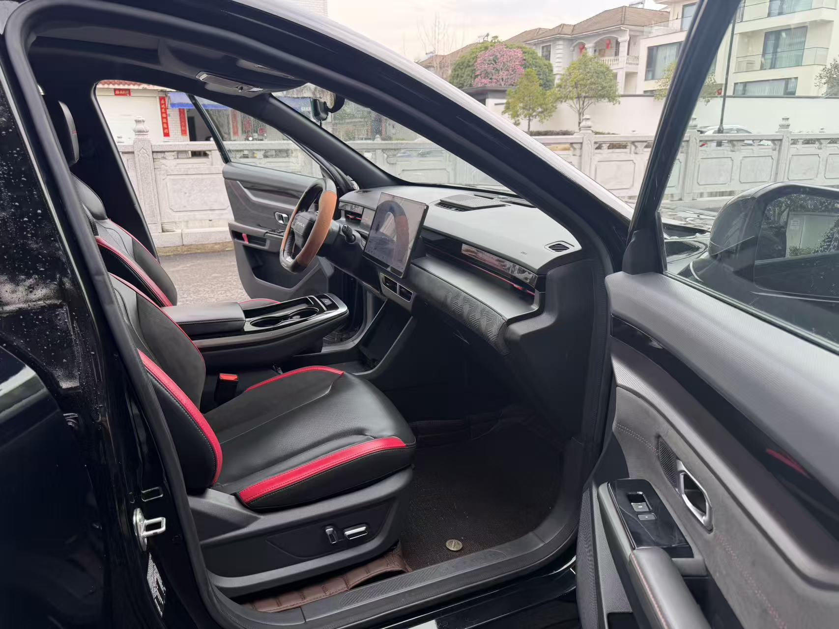 Dashing 2024 immagine di auto #8