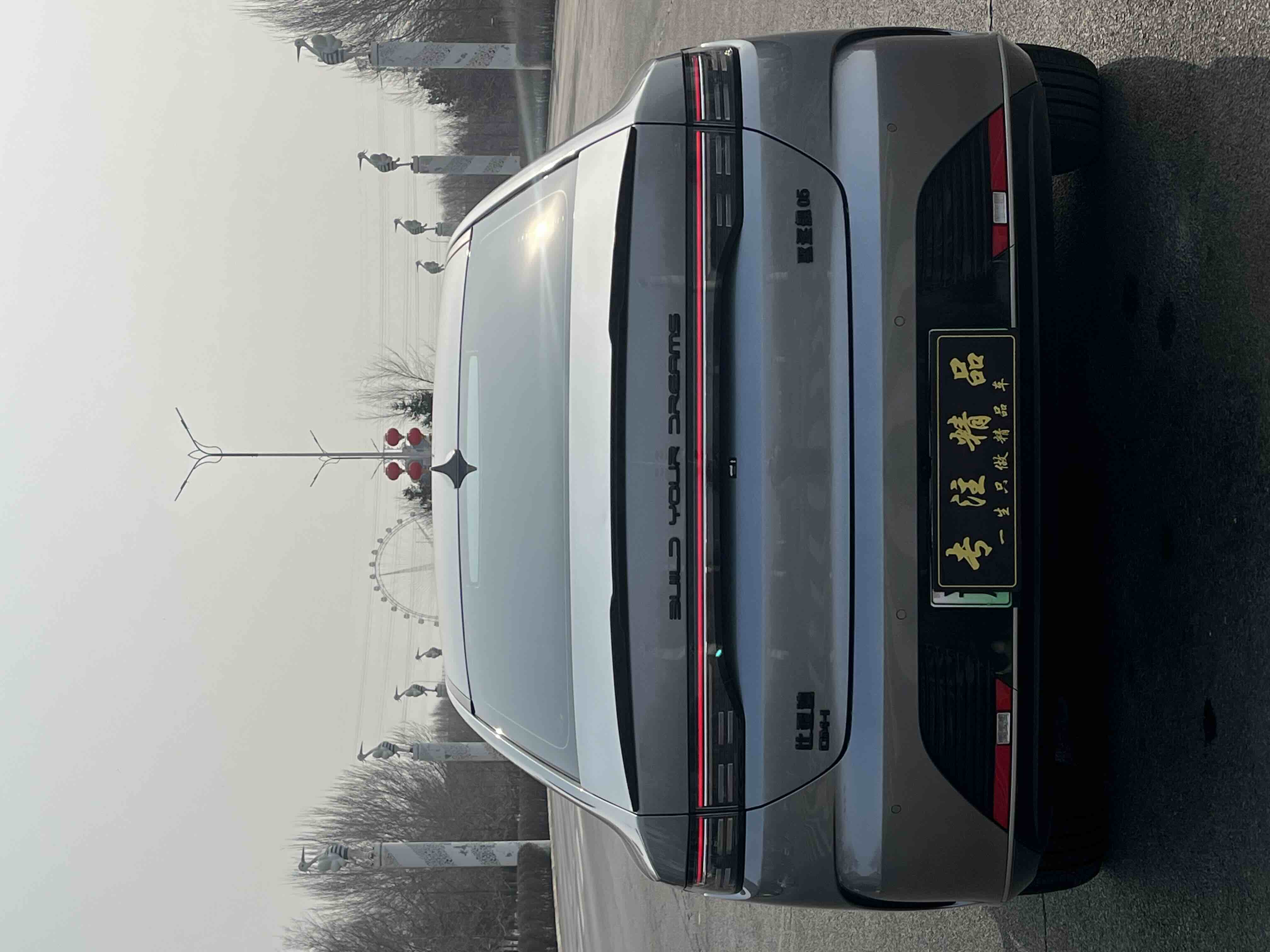 BYD Destroyer 05 2023 imagen de coche #8