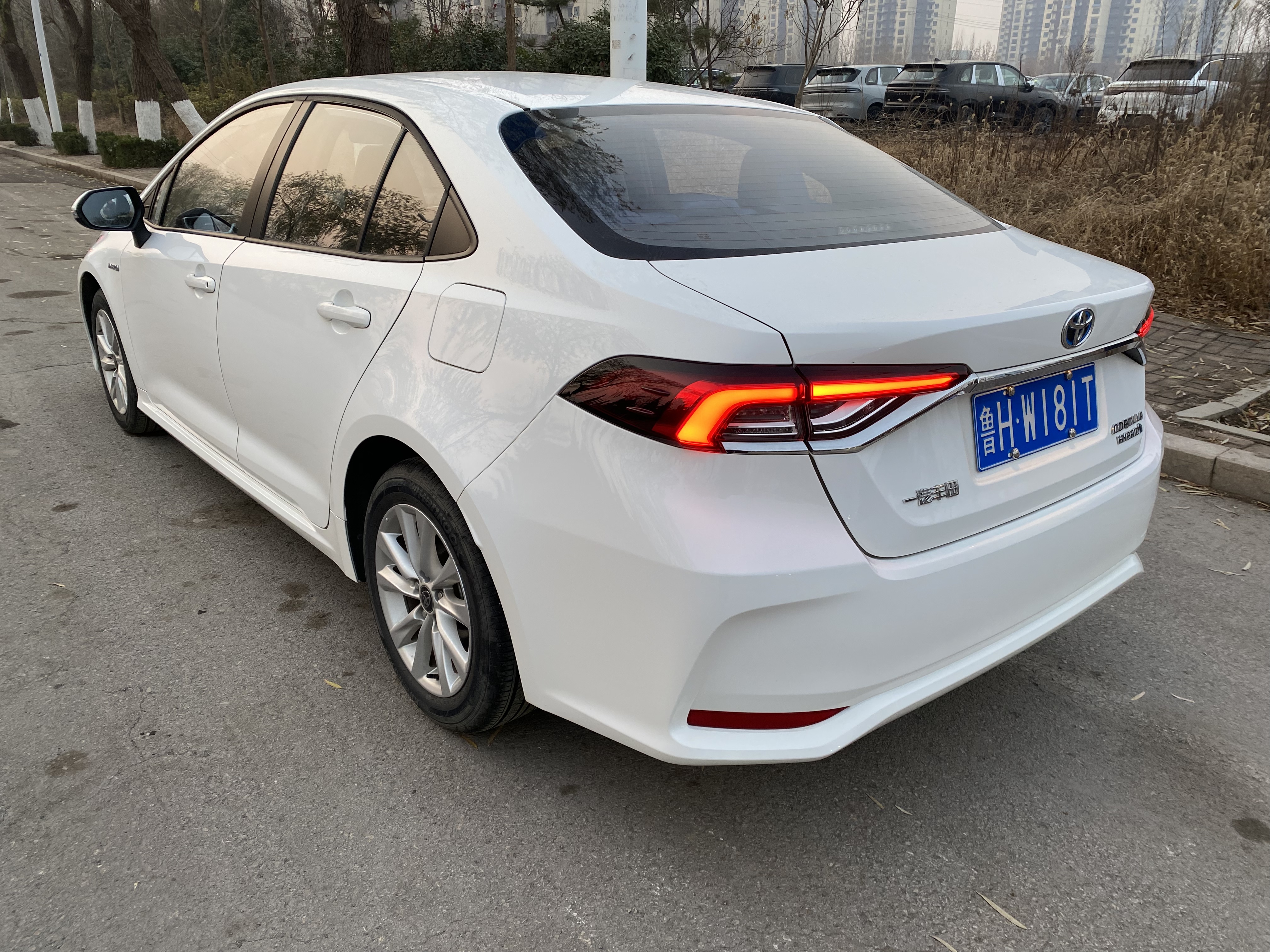 Corolla 2023 car image #8