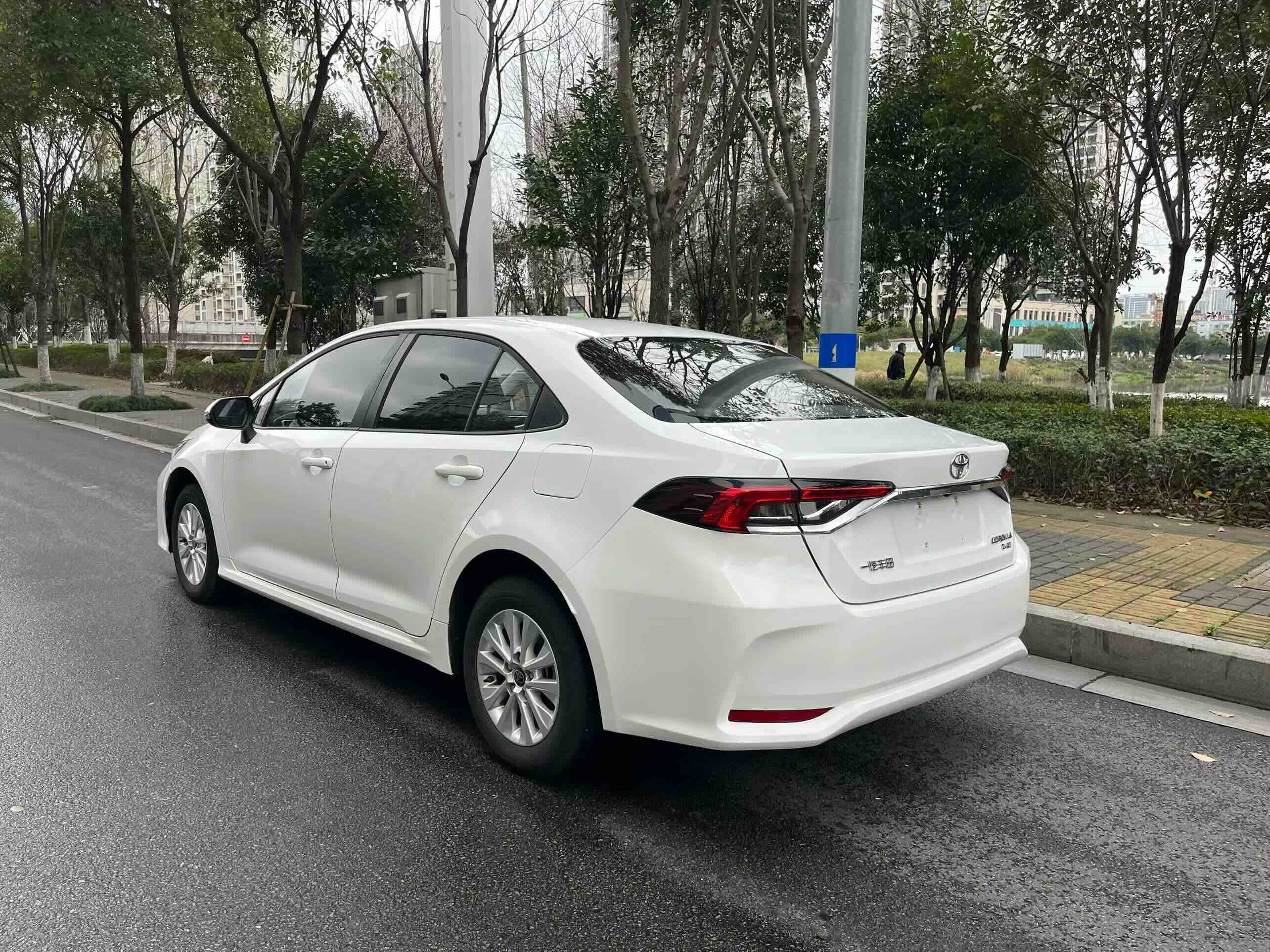 Corolla 2024 car image #8