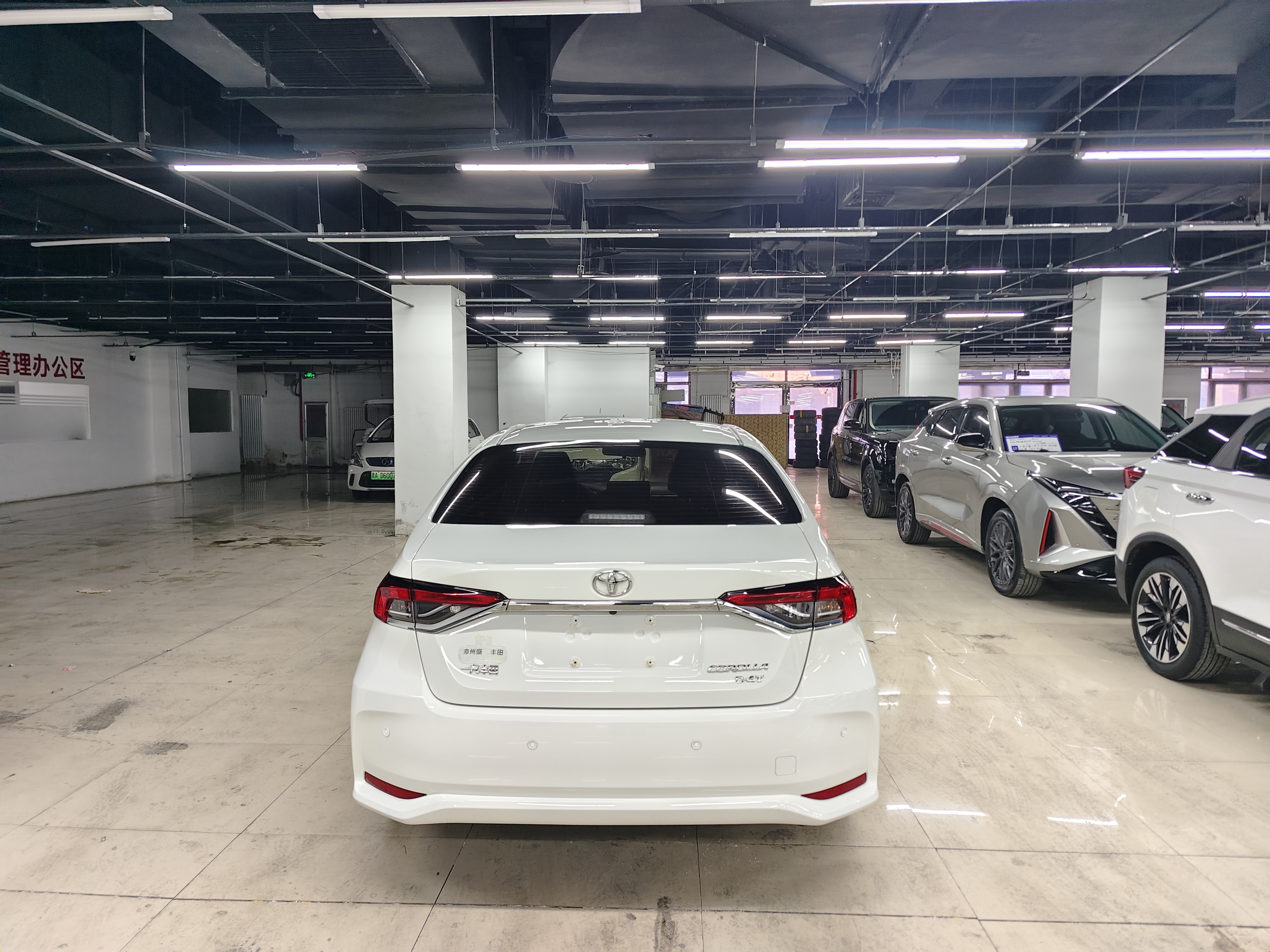 Corolla 2022 immagine di auto #8