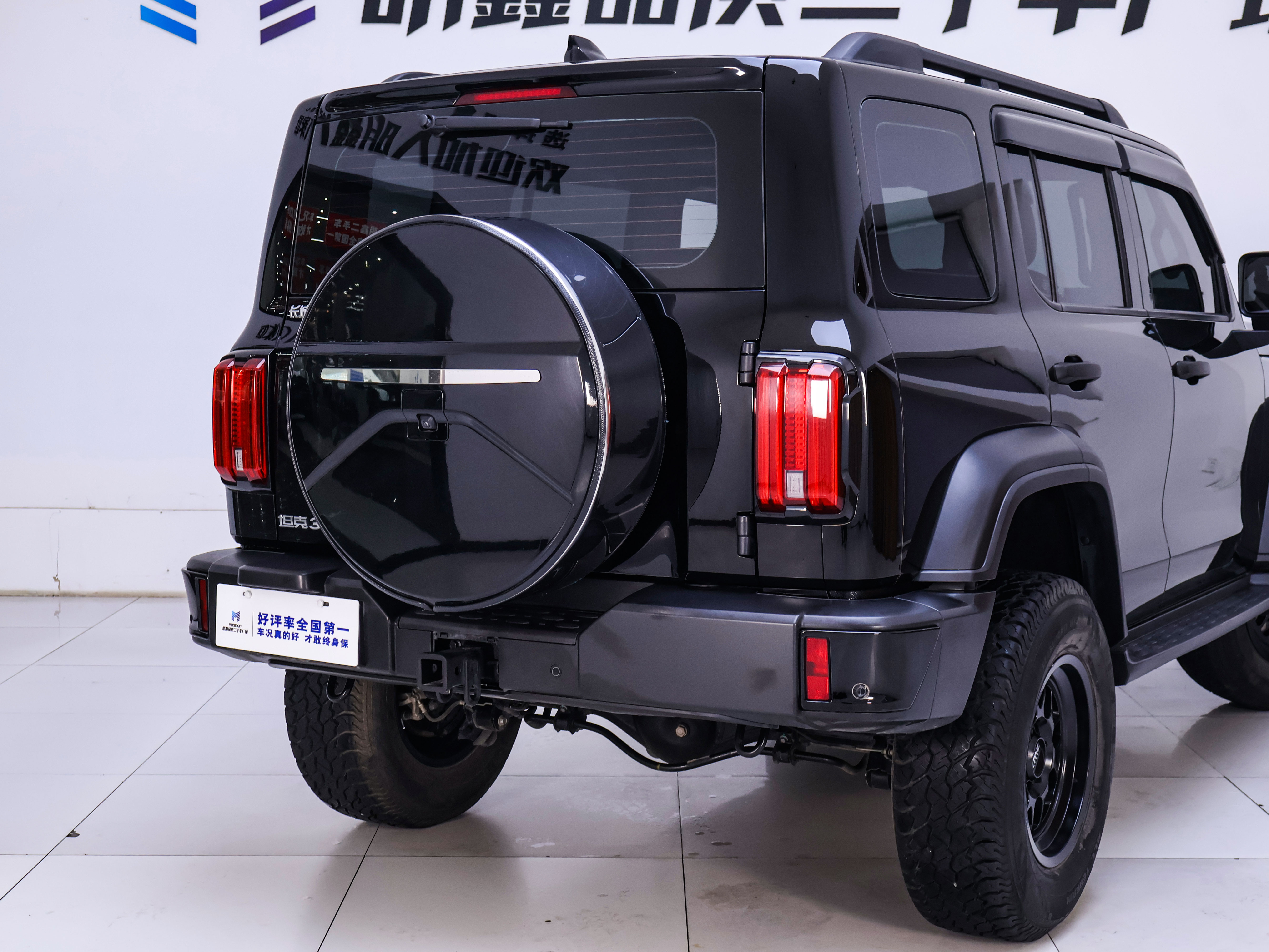 Tank 300 2023 immagine di auto #8