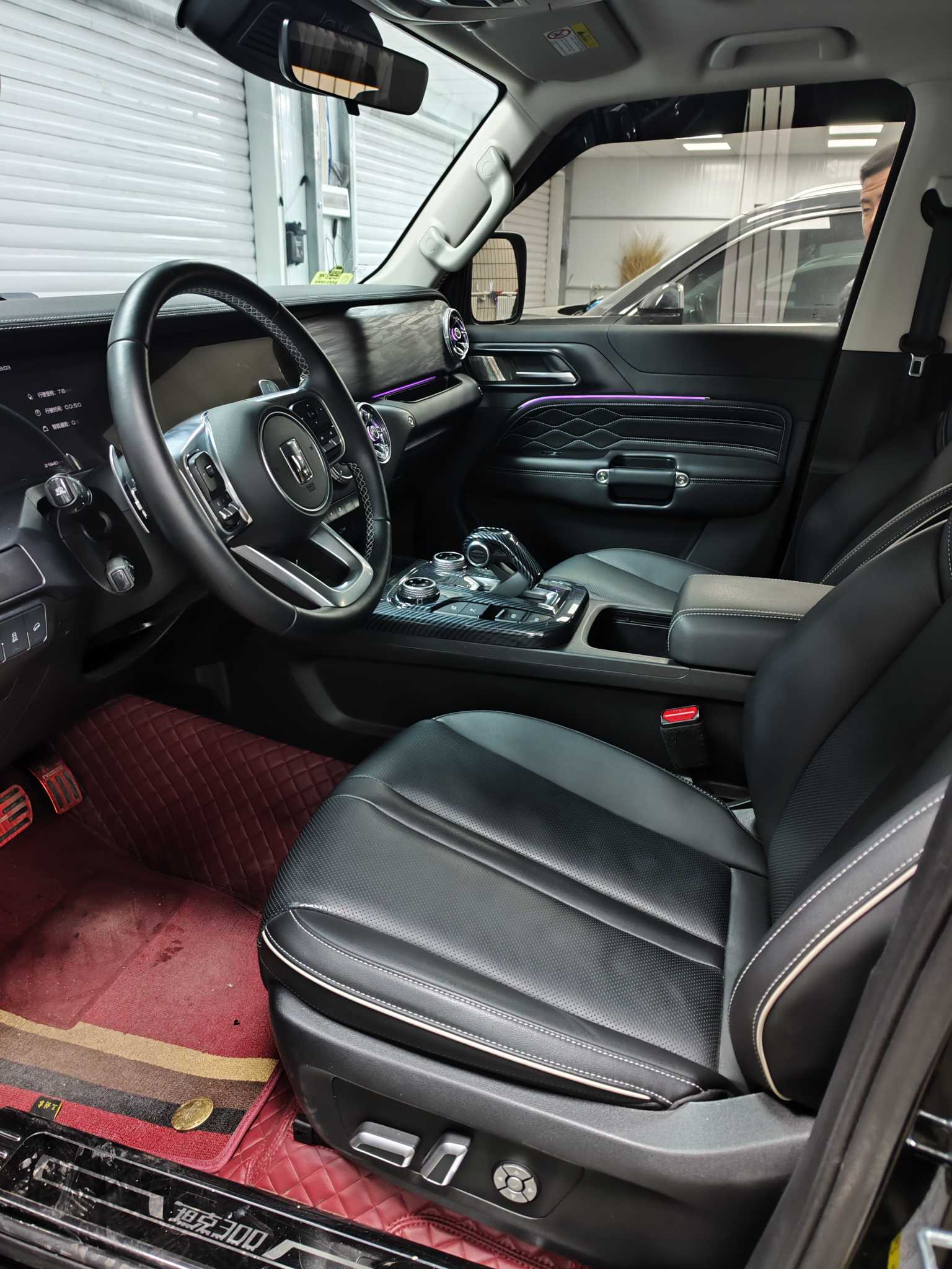 Tank 300 2024 car image #8