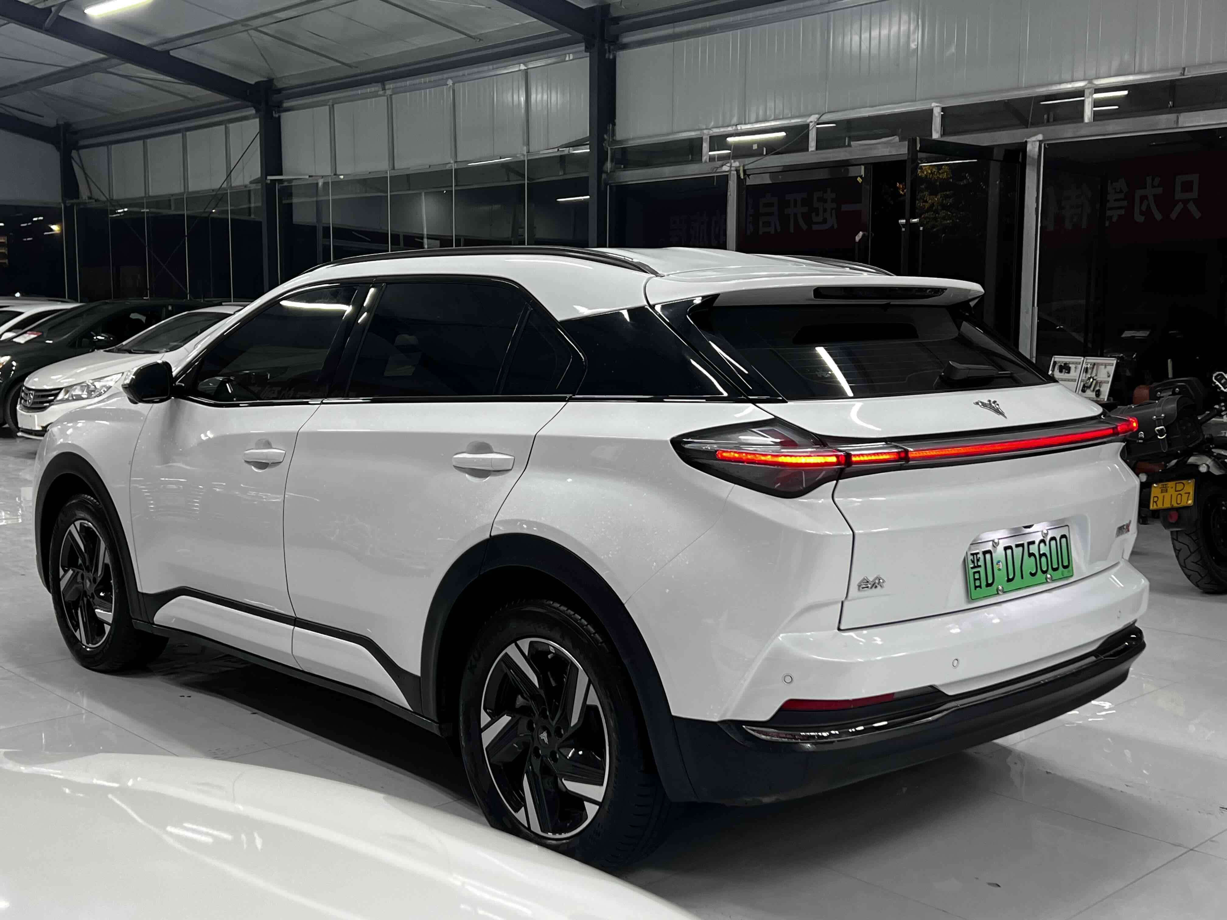 Neta X 2024 imagem de carro #8