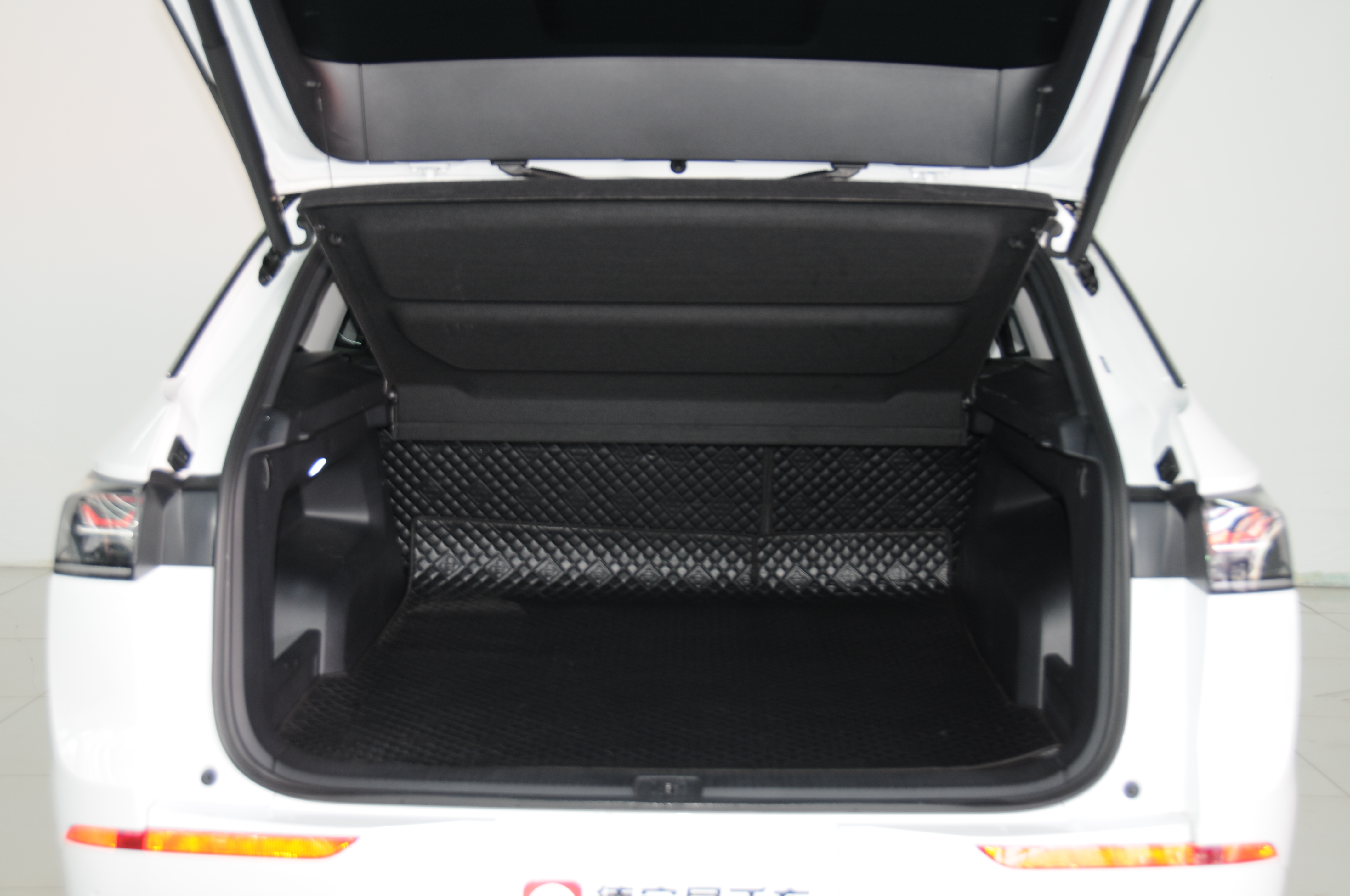 Volkswagen Tavendor 2024 car image #8