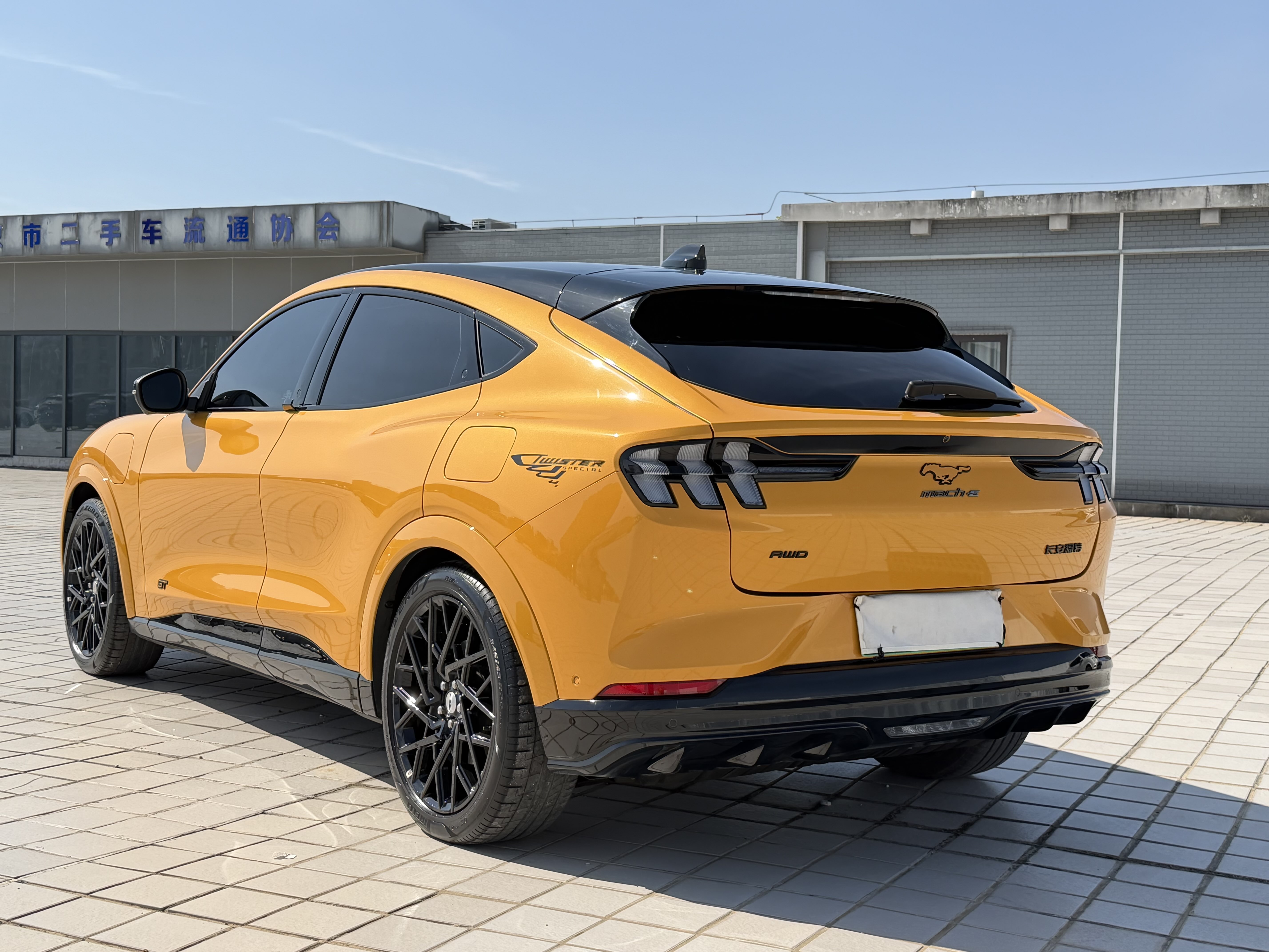 Ford Mustang Mach-E 2024 صورة سيارة #8