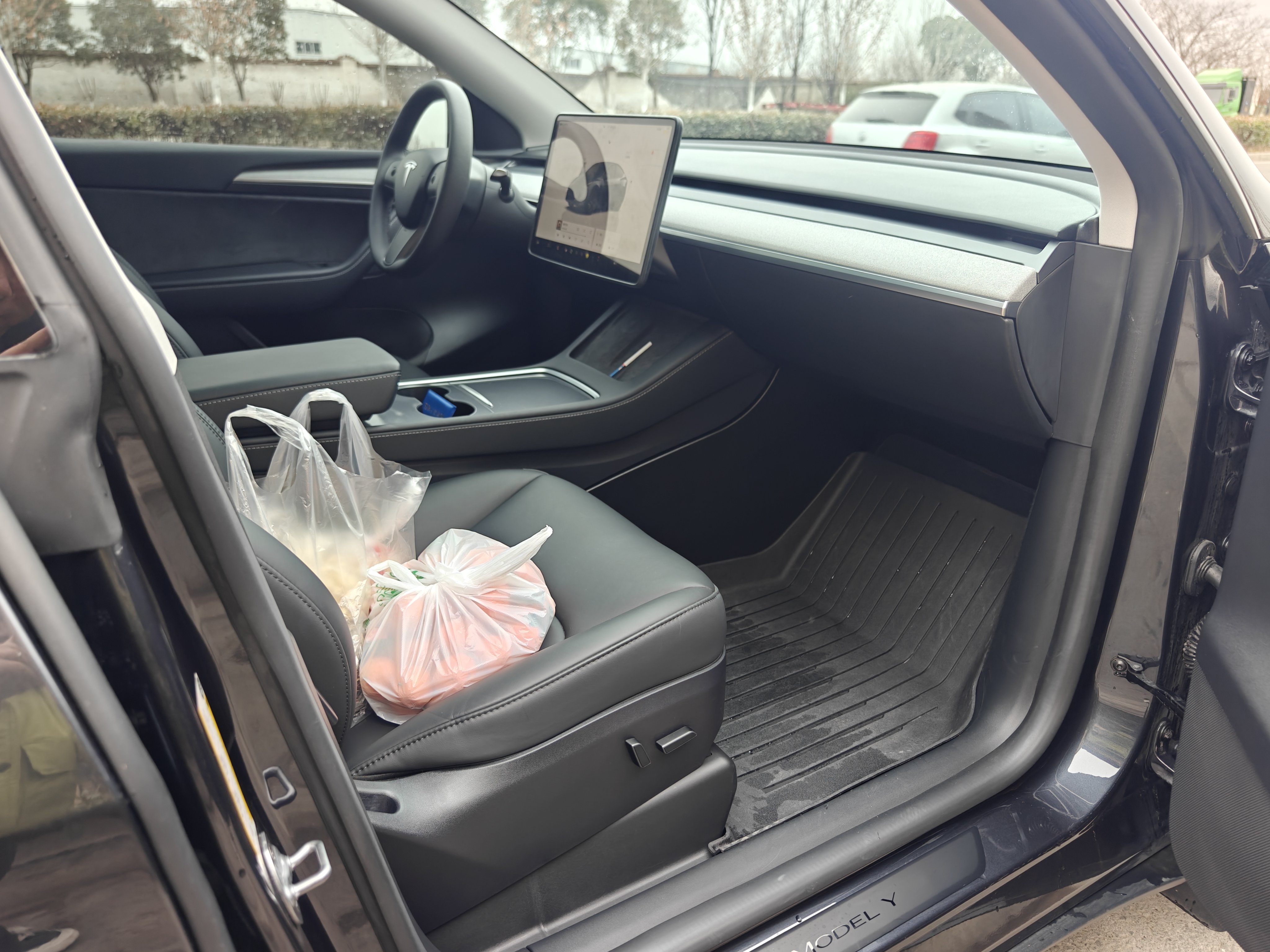 Tesla Model Y 2024 car image #8