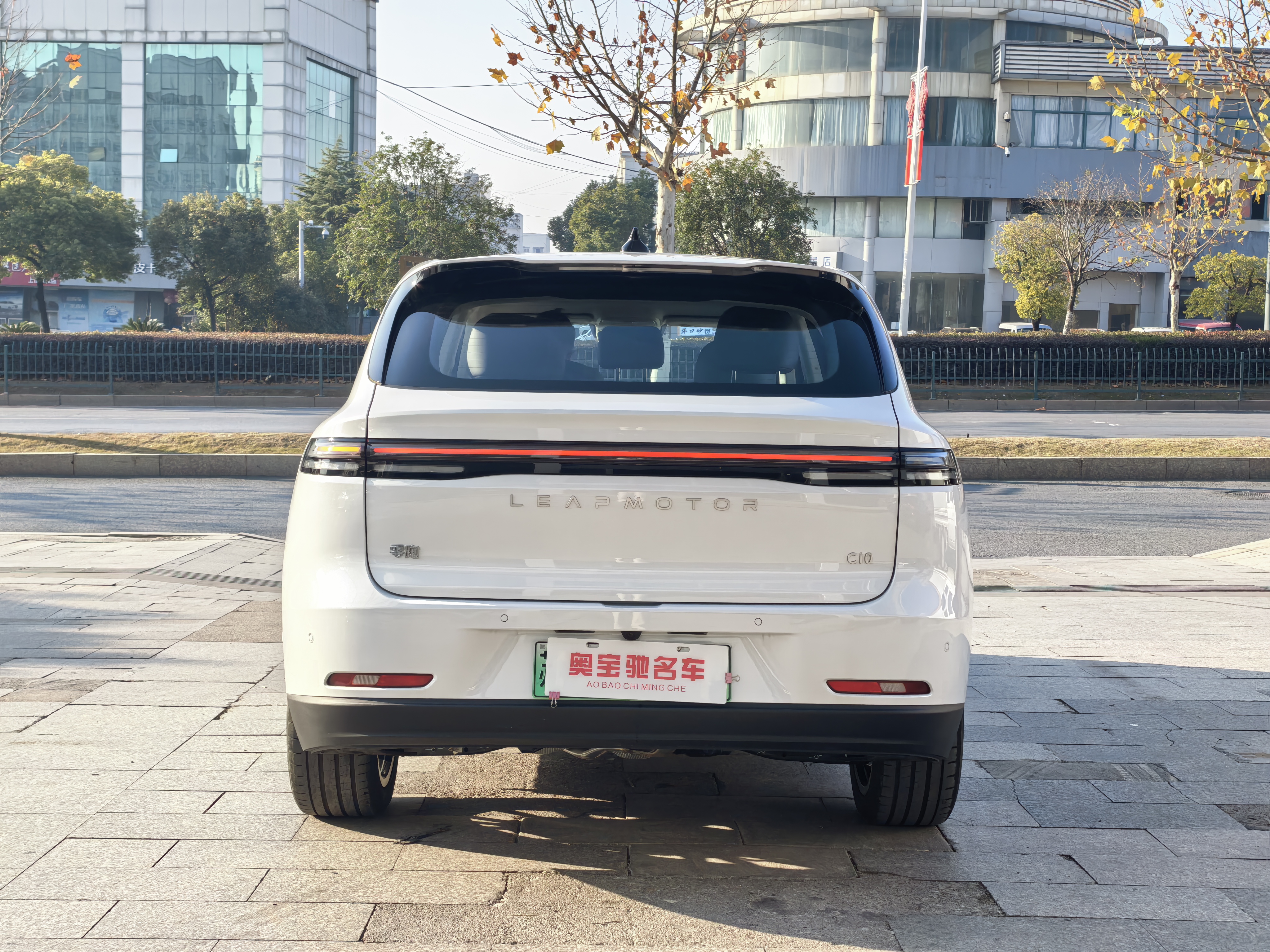 零跑汽车 零跑C10 2026 汽车图片 #8