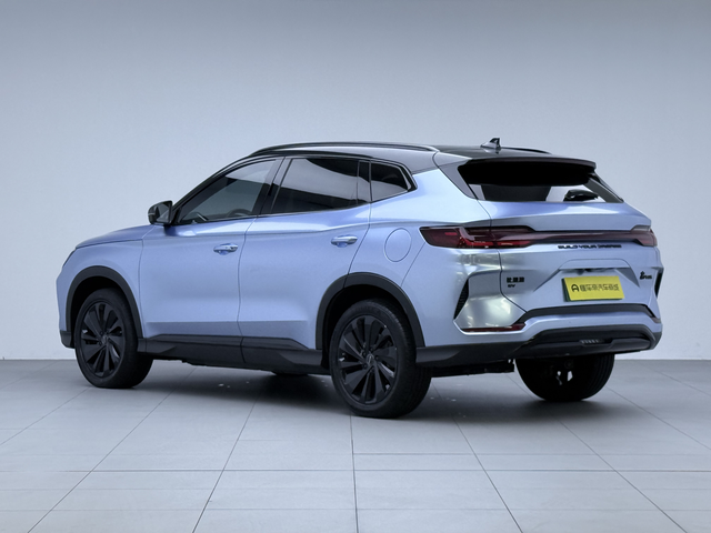 BYD Song Plus New Energy 2024 car image #8