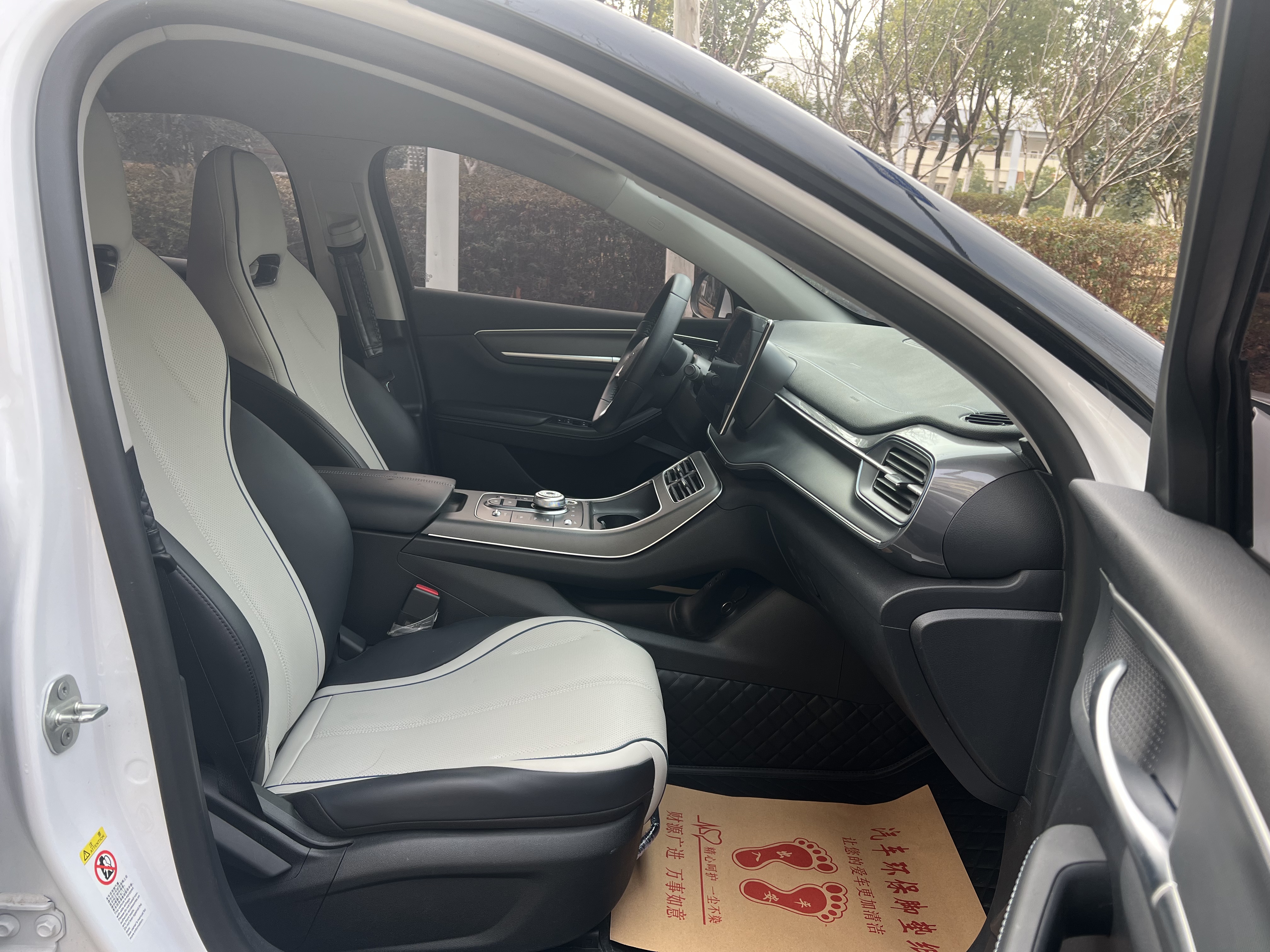 BYD Destroyer 05 2024 car image #8