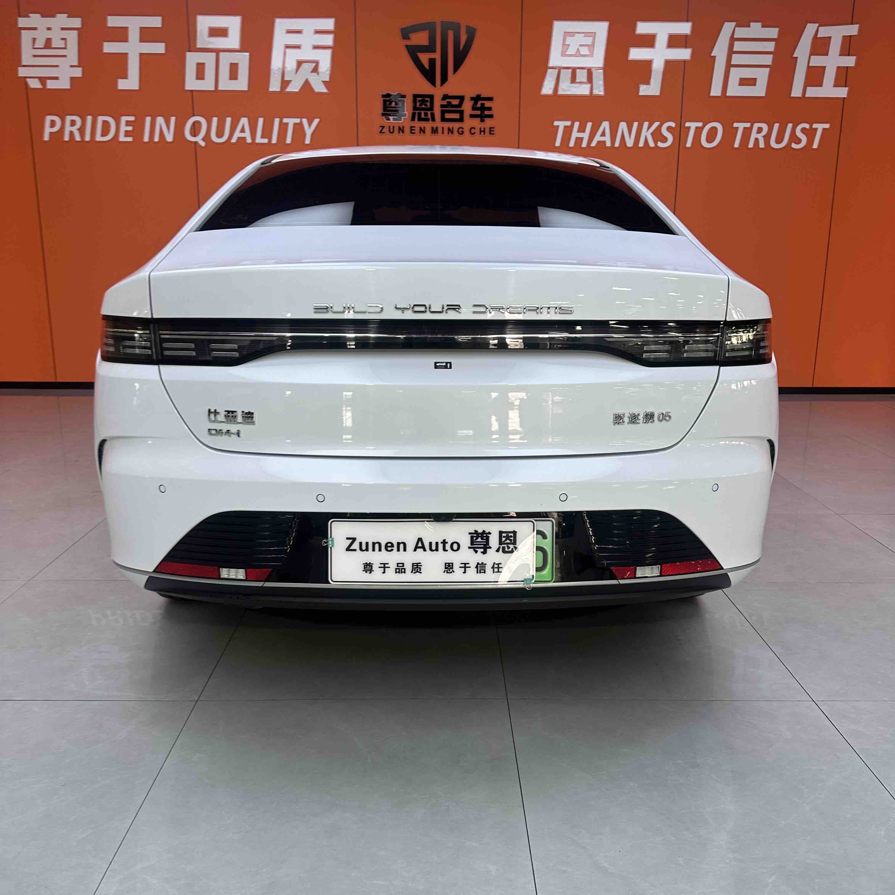 BYD Destroyer 05 2024 imagen de coche #8