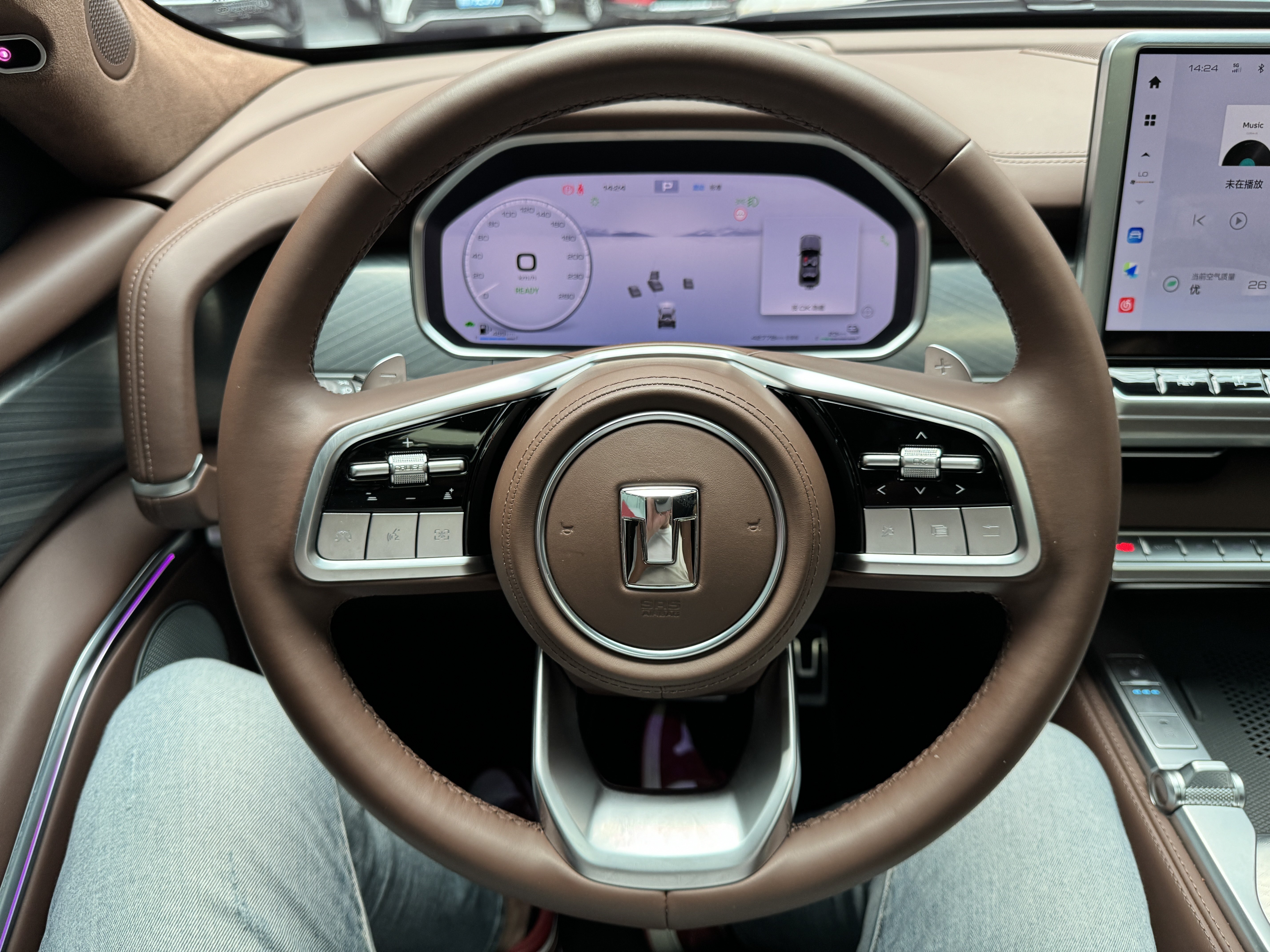 Tank 700 New Energy 2025 #8 Tank 700 New Energy 2025 car image #8