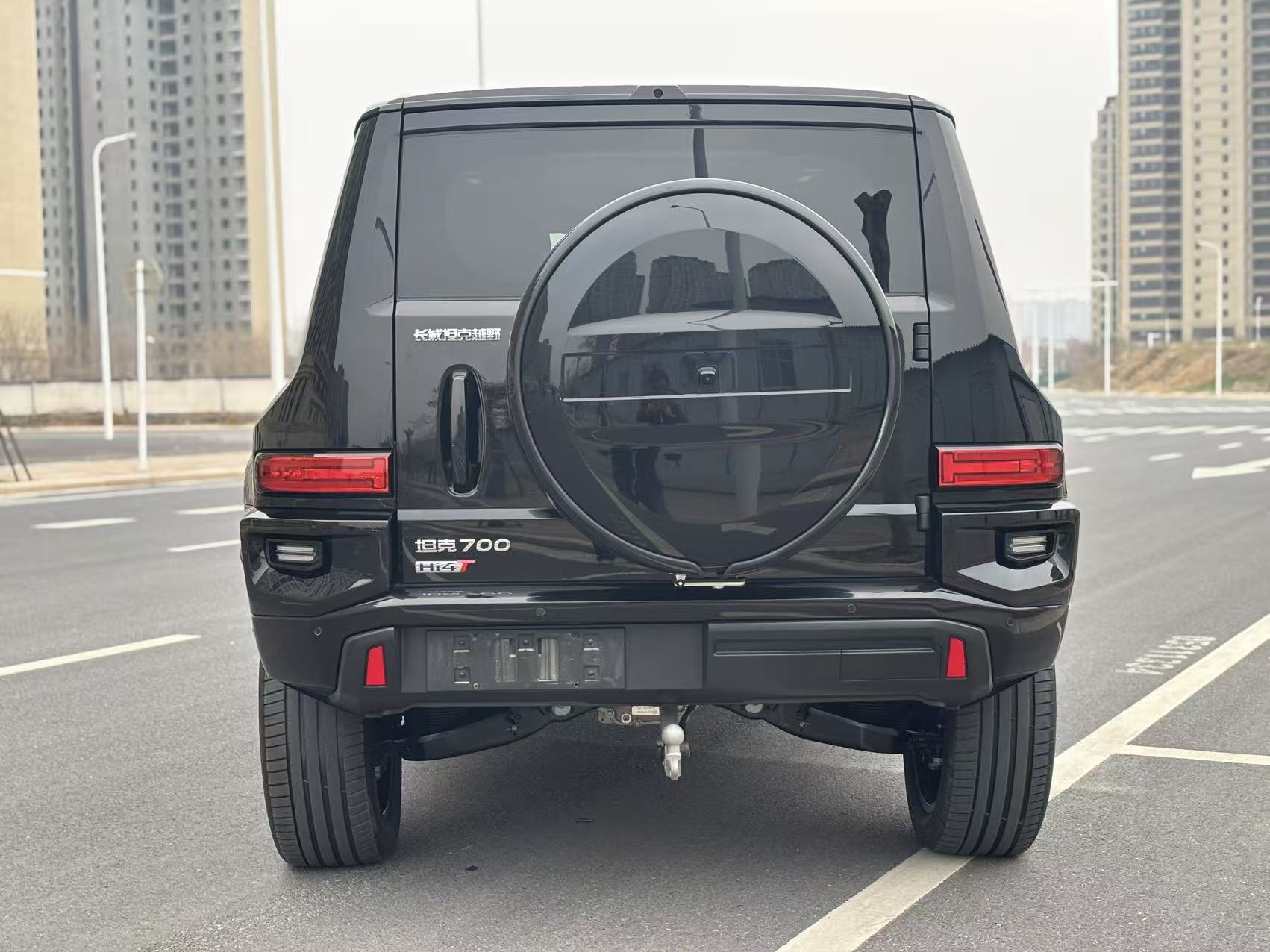 Tank 700 New Energy 2024 immagine di auto #8