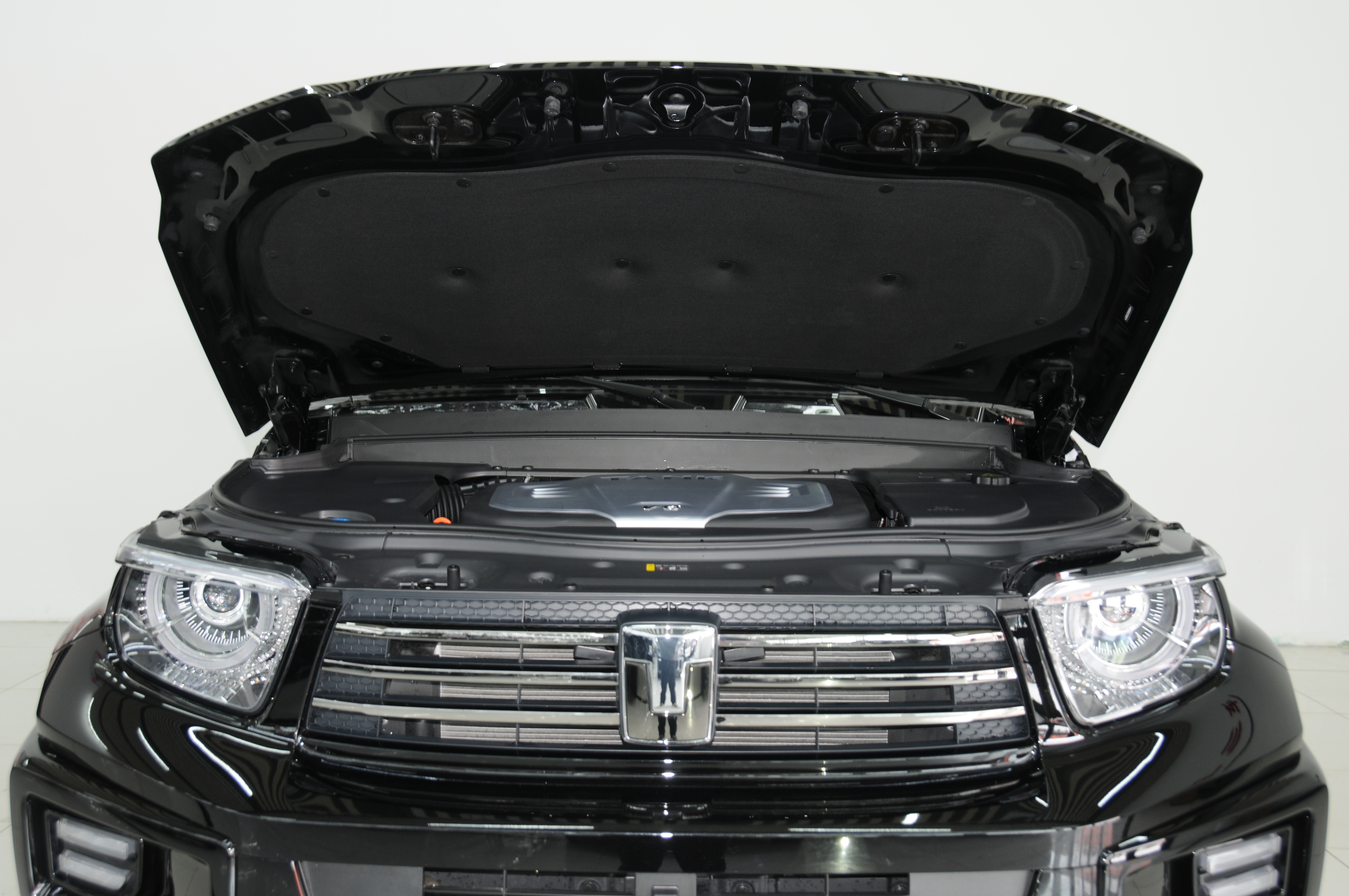 Tank 700 New Energy 2025 image de voiture #8