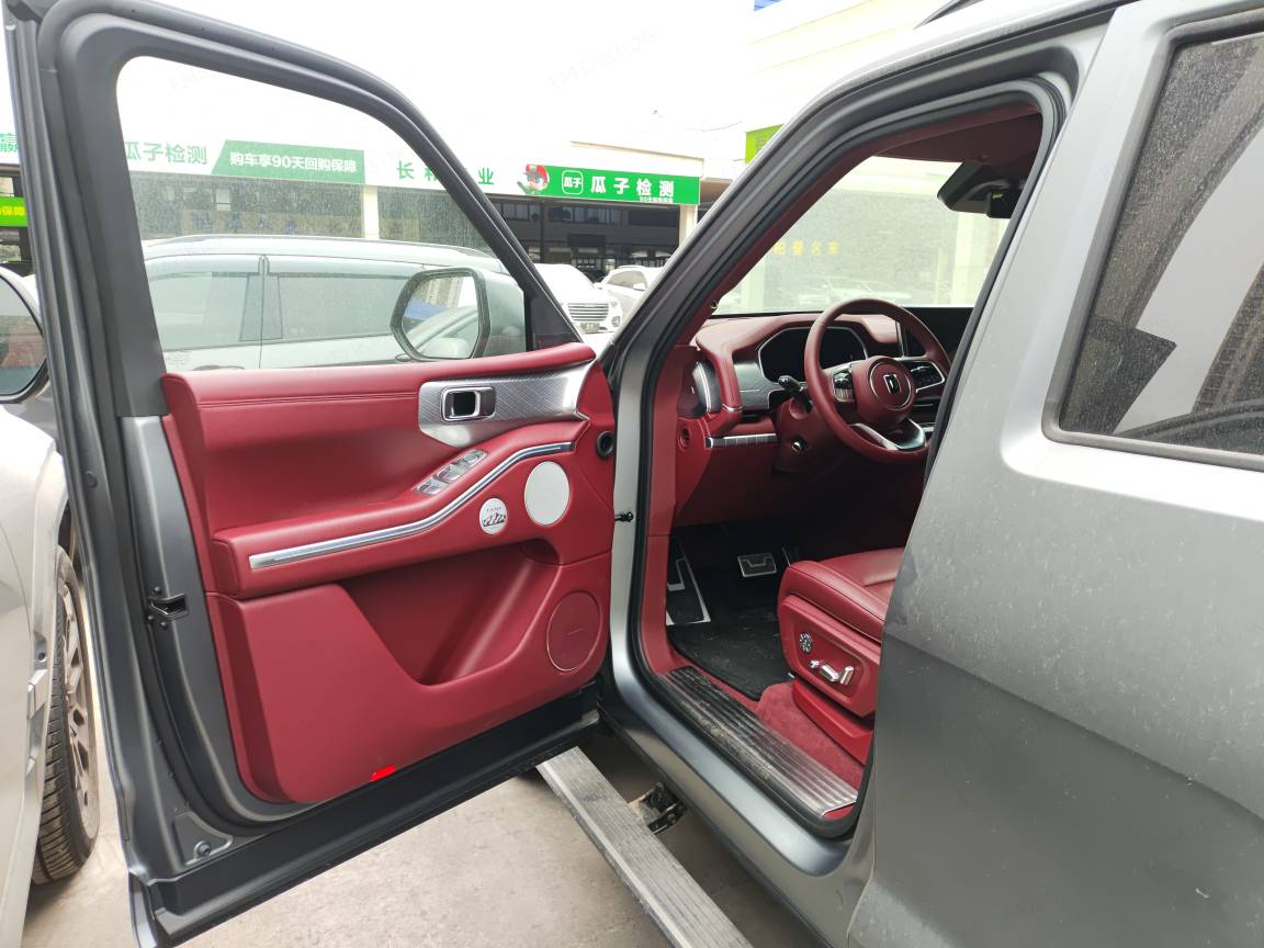 Tank 700 New Energy 2024 car image #8