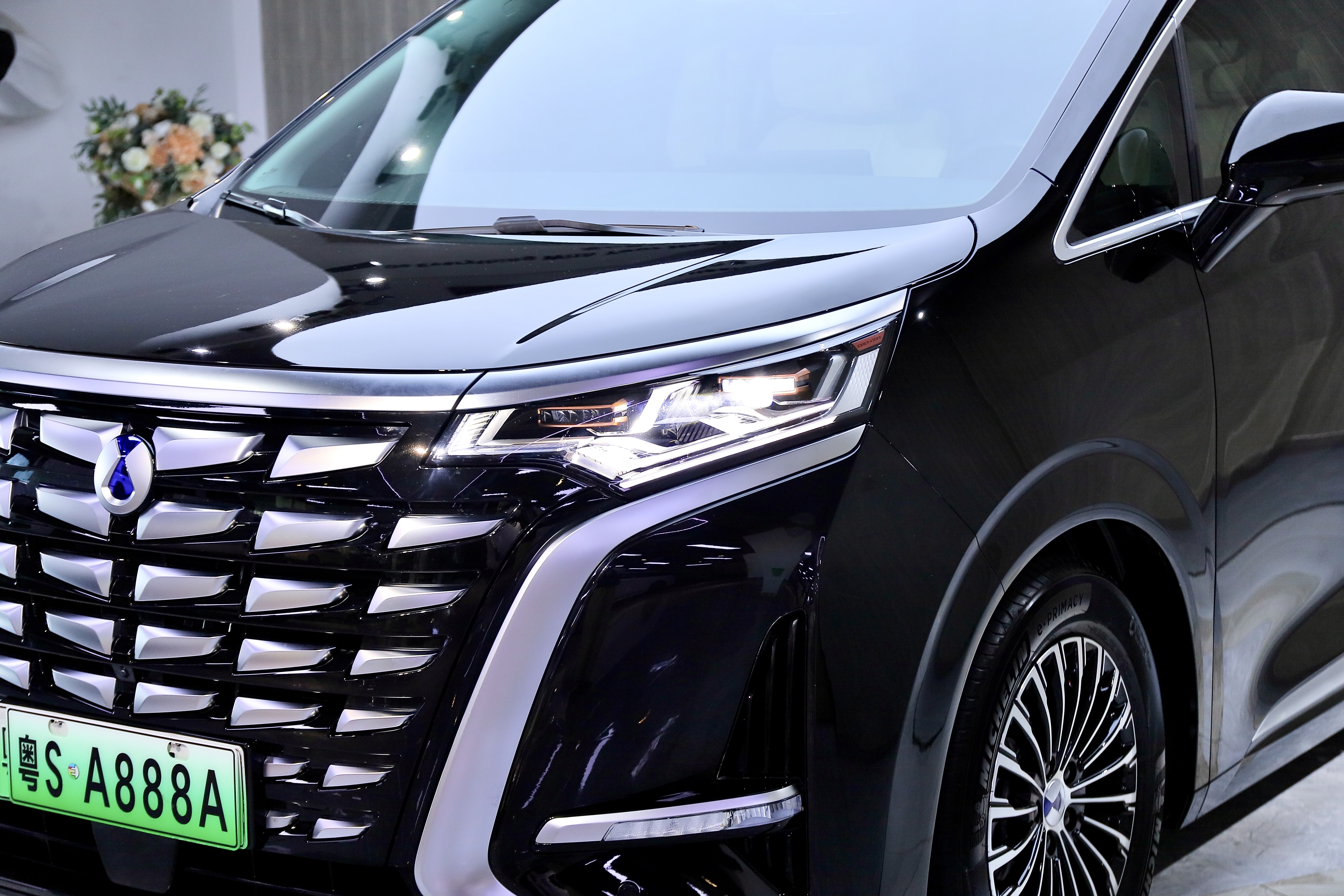 Denza D9 2024 immagine di auto #8