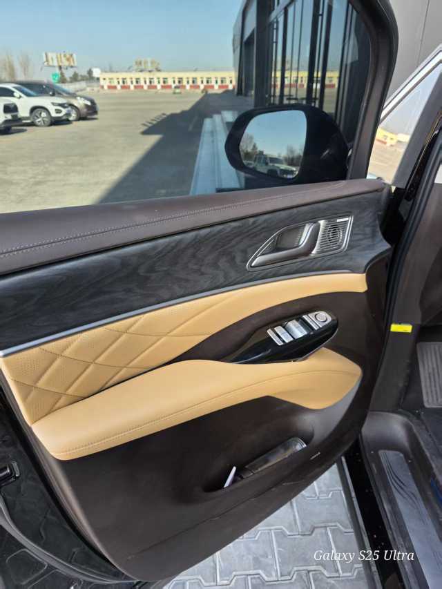 Denza D9 2025 car image #8