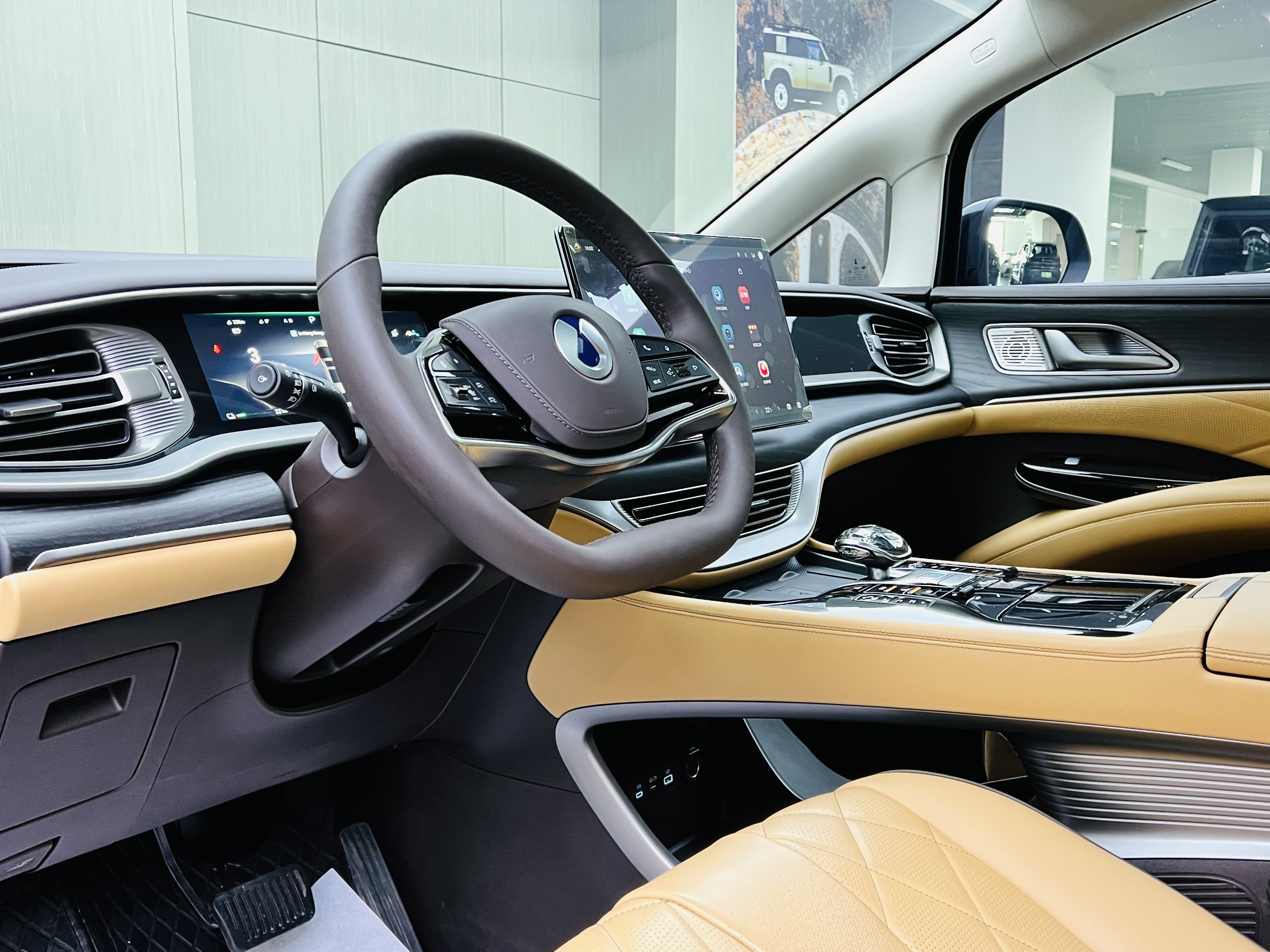 Denza D9 2025 image de voiture #8