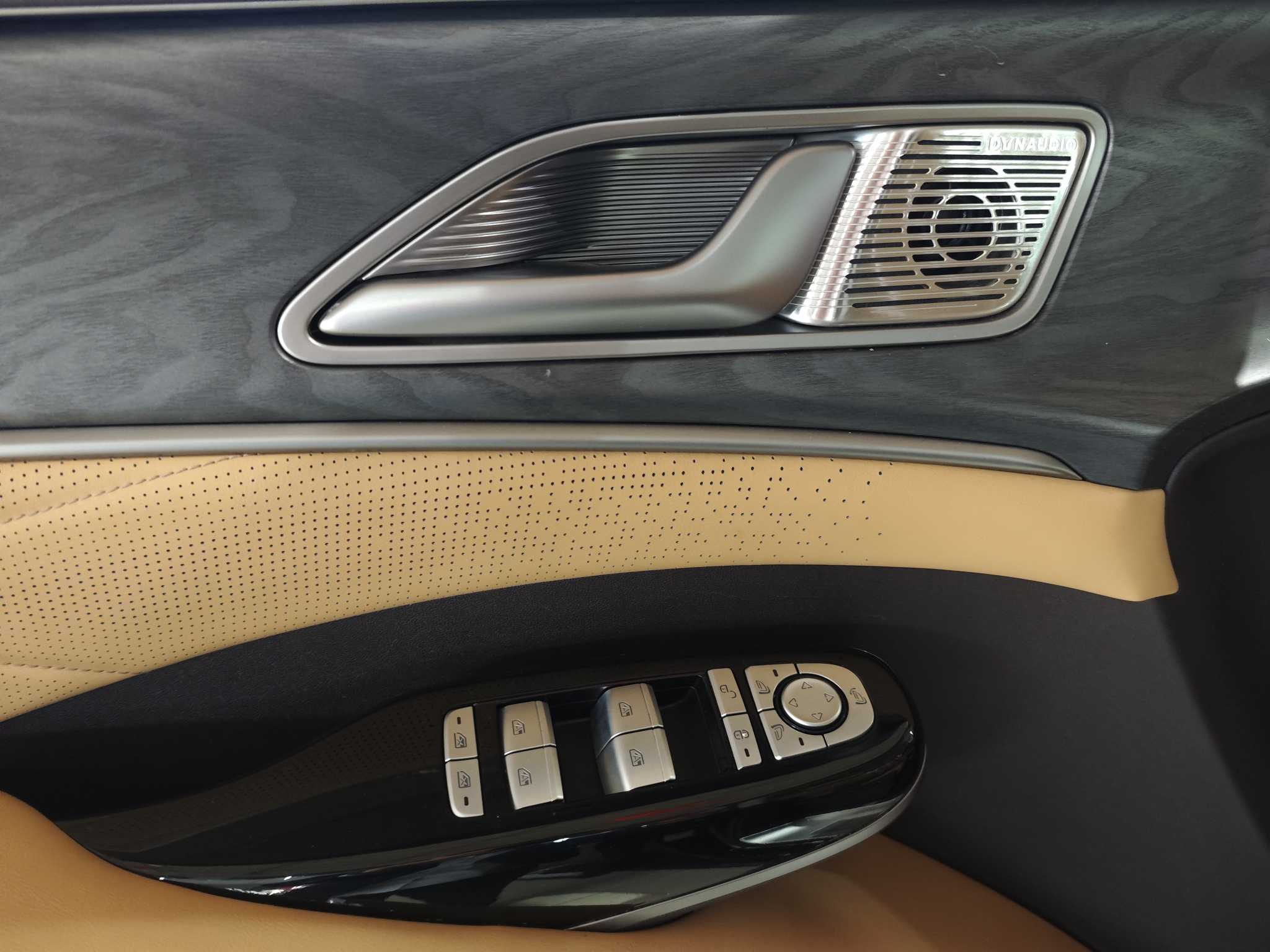 Denza D9 2025 imagem de carro #8