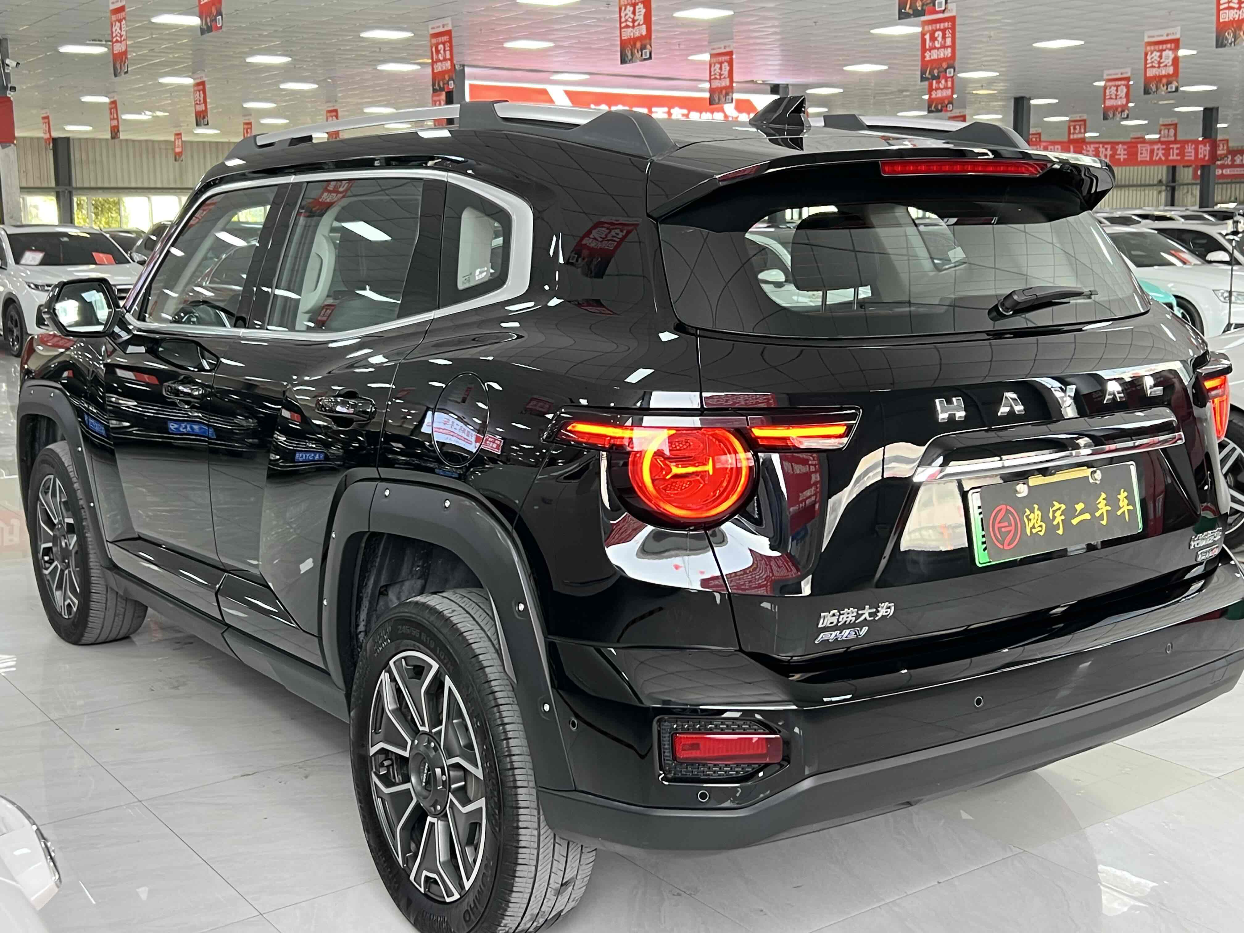 Haval X Dog 2 New Energy 2024 car image #8